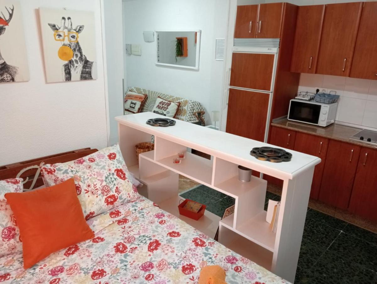 Apartamento Con Encanto 'Larios Studio' photo 3