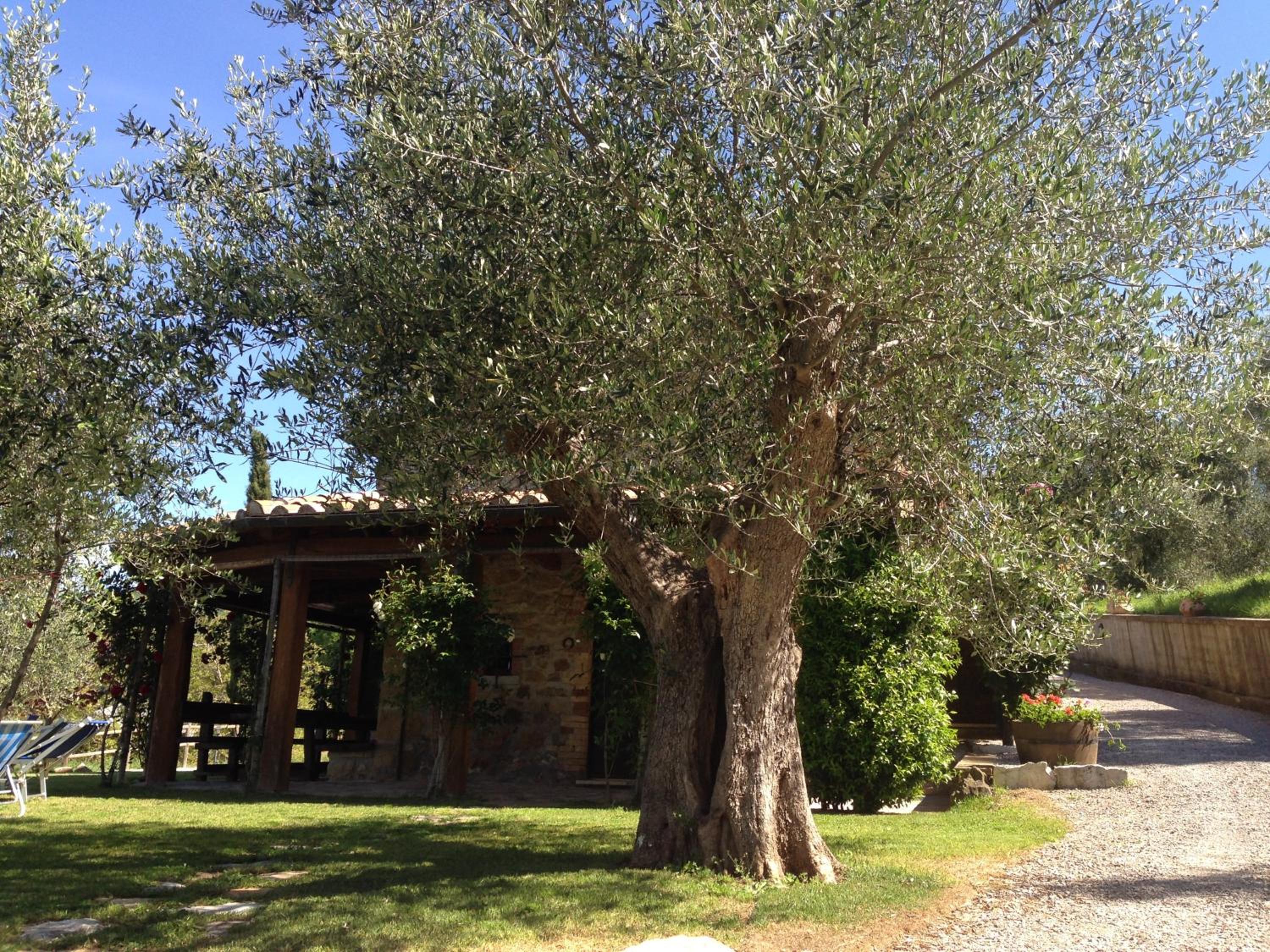 Podere Poggio Benedetto