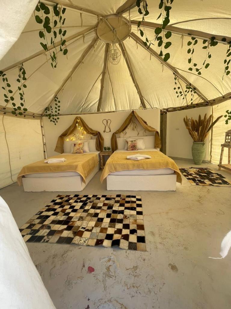 Shahrazad Camp in white desert, Egypt view 4