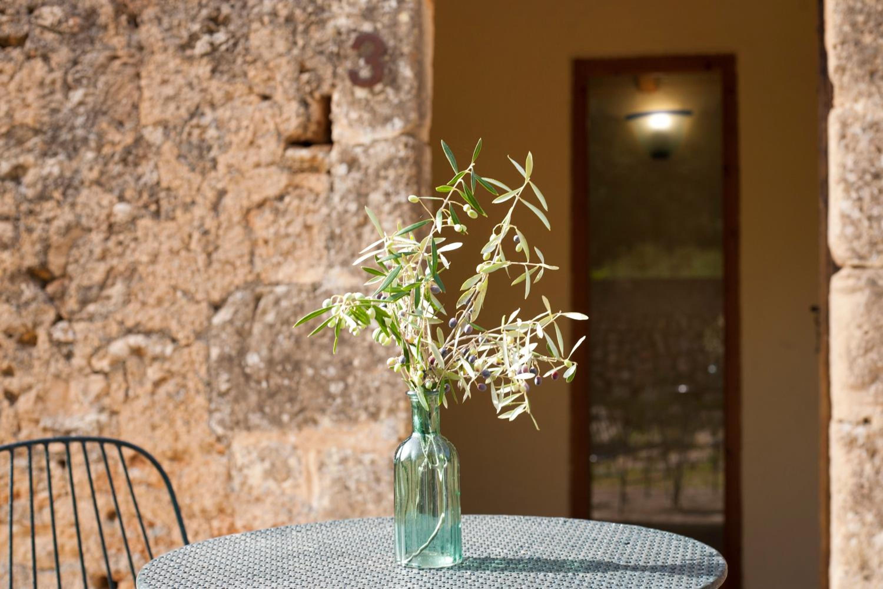Finca Son Sureda Agroturismo