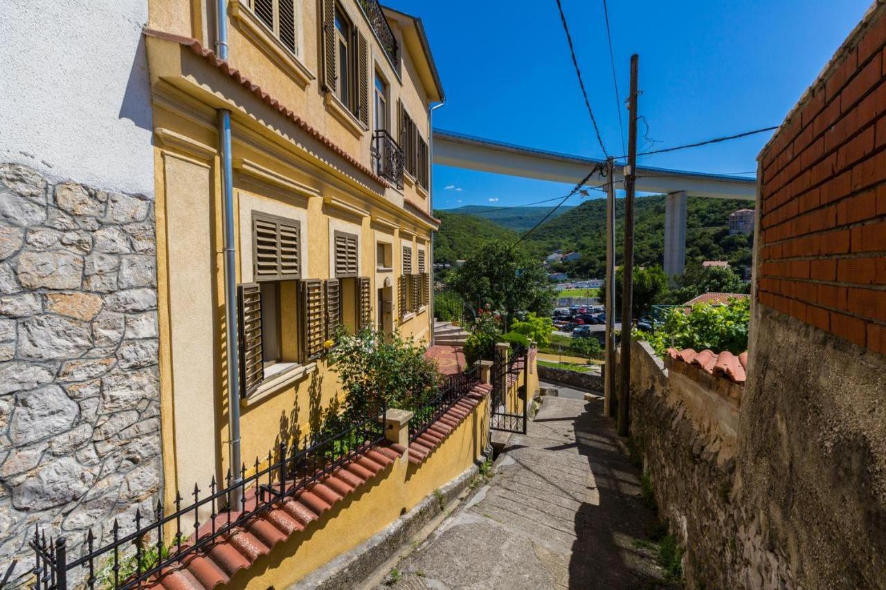 Petrinovic C view 3