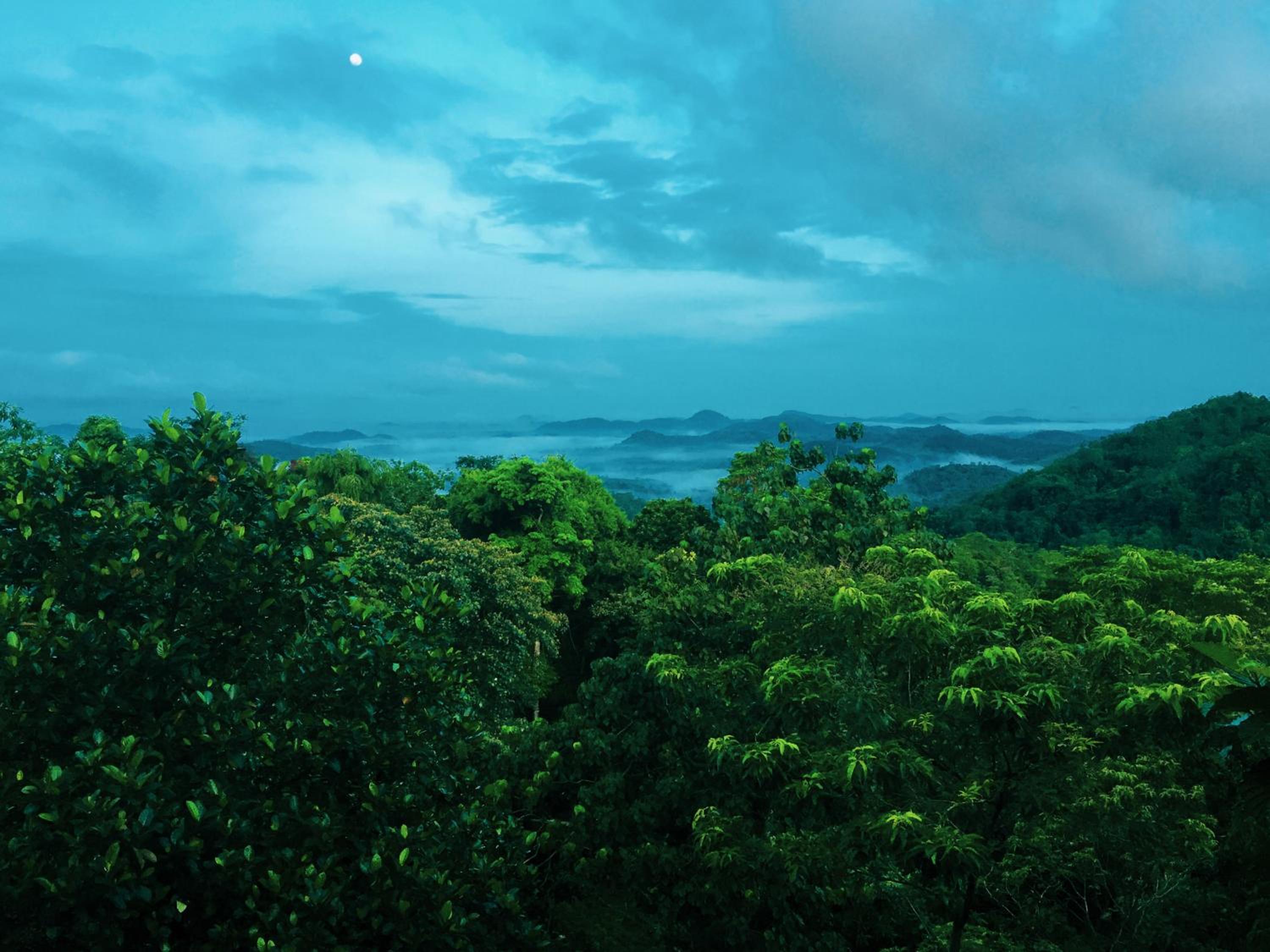 AHAS GAWWA Eco Lodge view 4