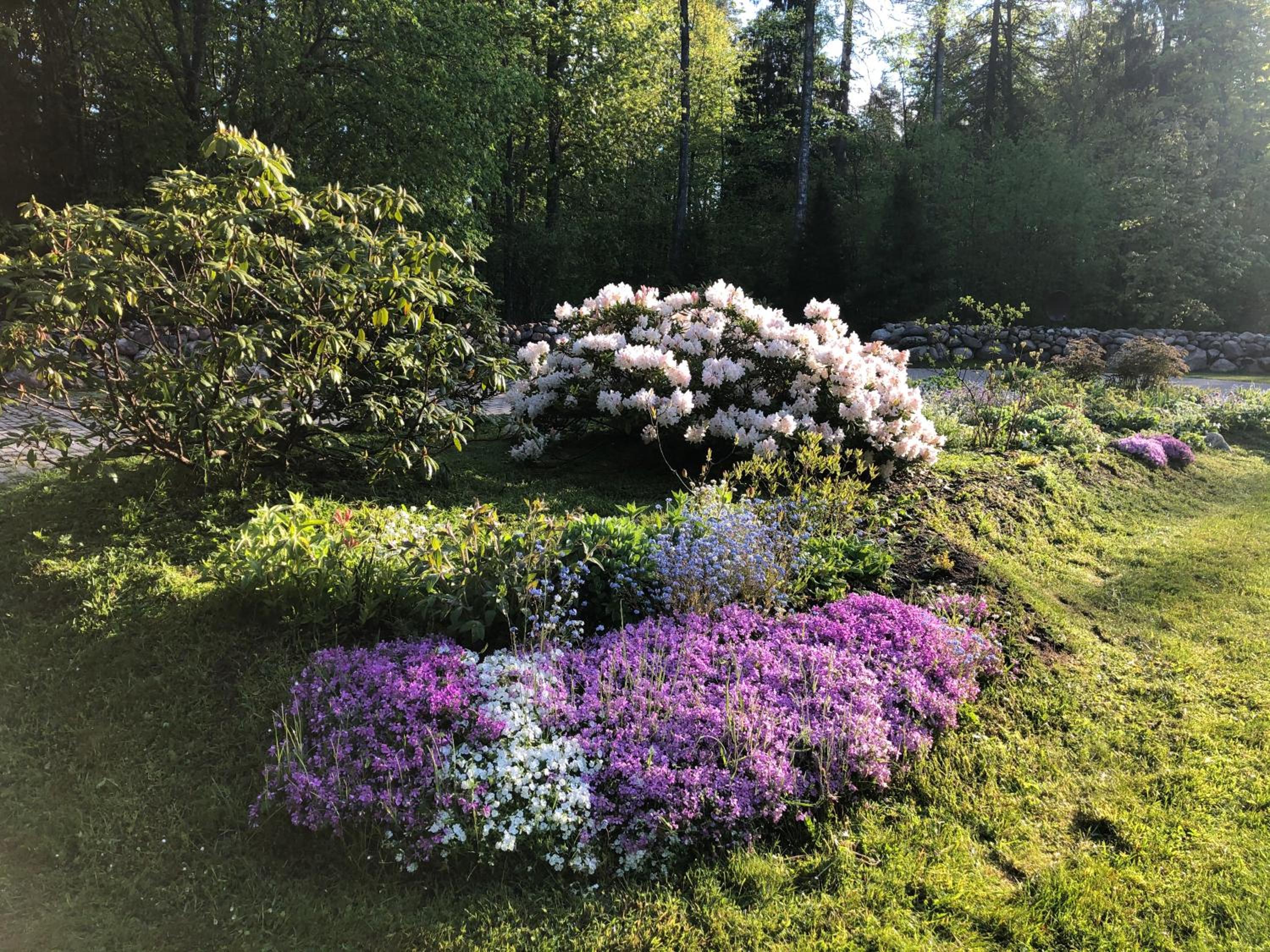 Photo 26