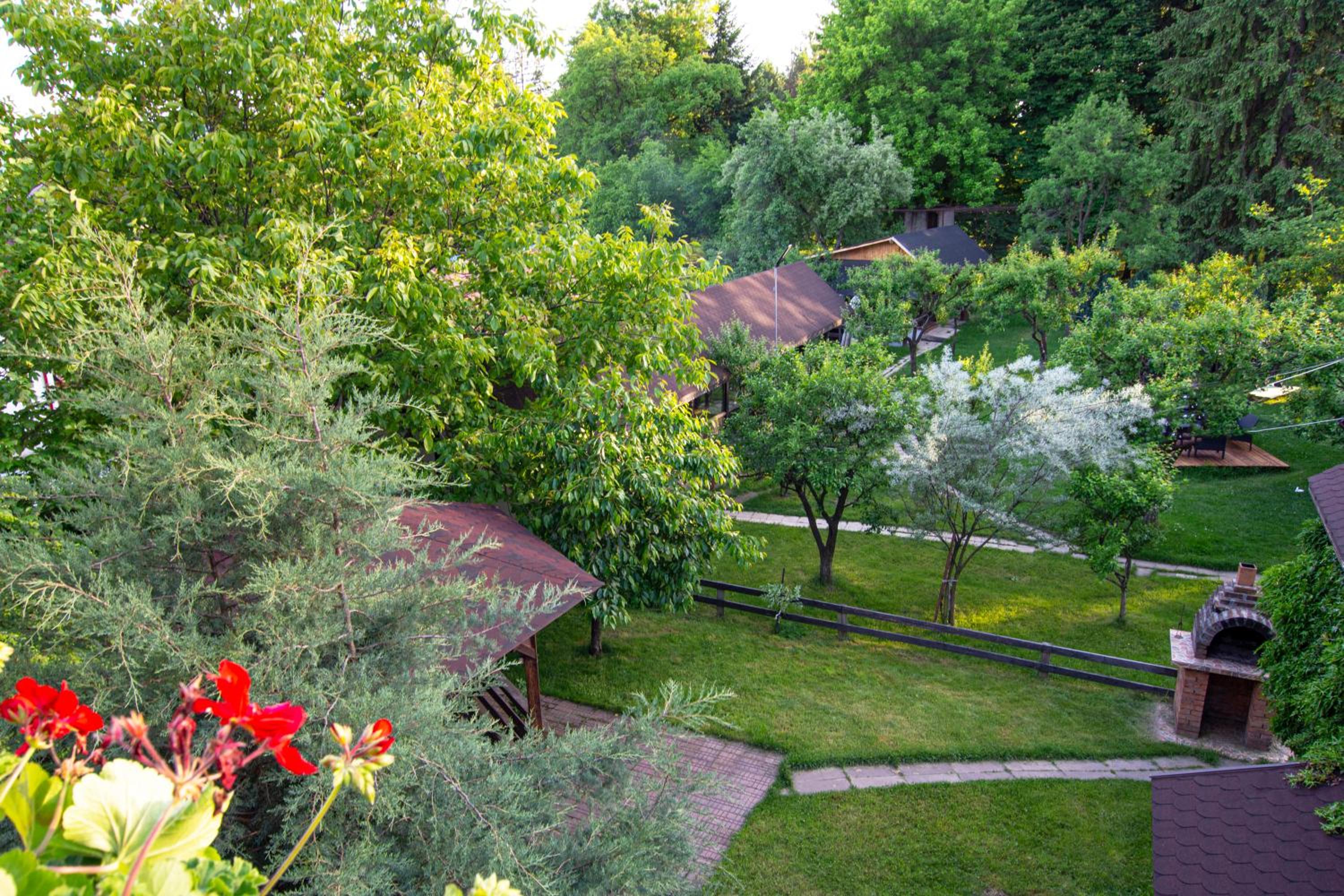 Photo 42