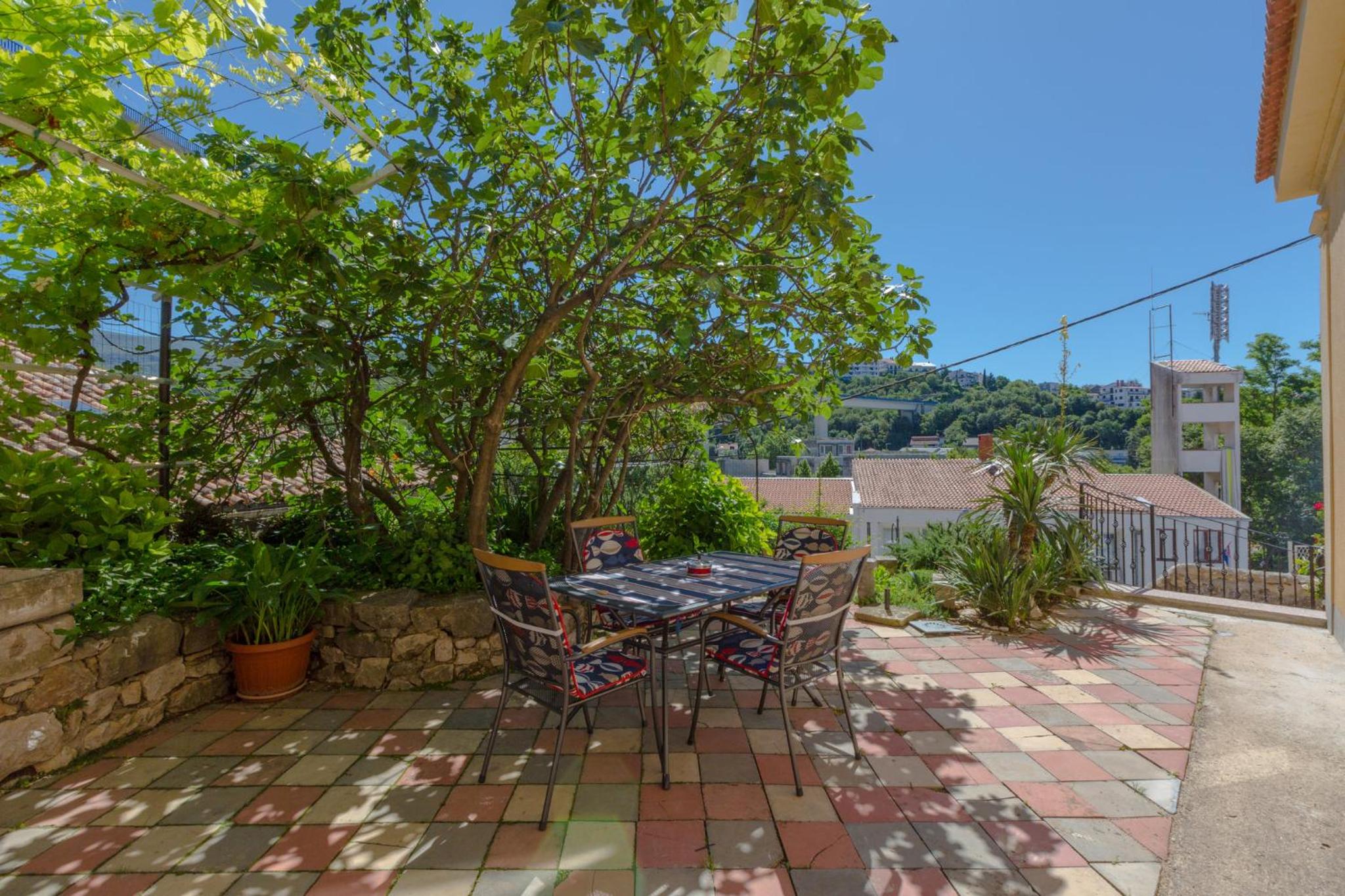 Petrinovic C view 5