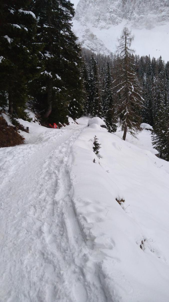 Appartamento a 2,5 km da Alleghe view 3