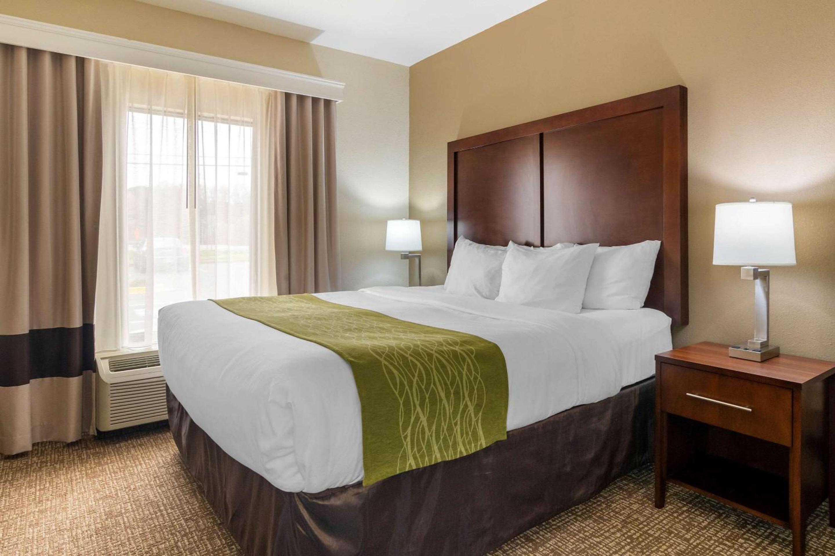 Comfort Inn & Suites Griffin North, Photo 14