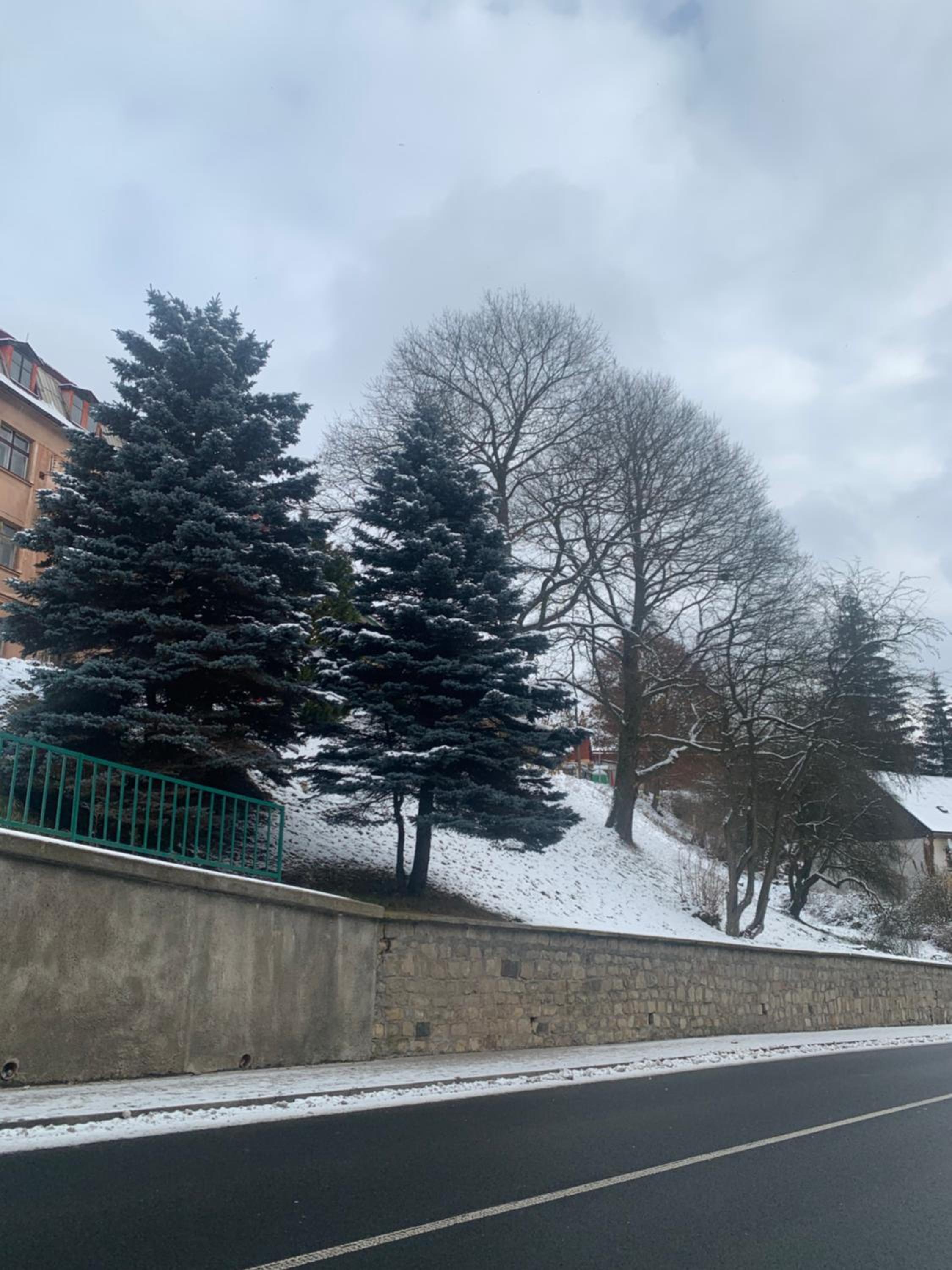 Apartmán v Krušných horách-free parking