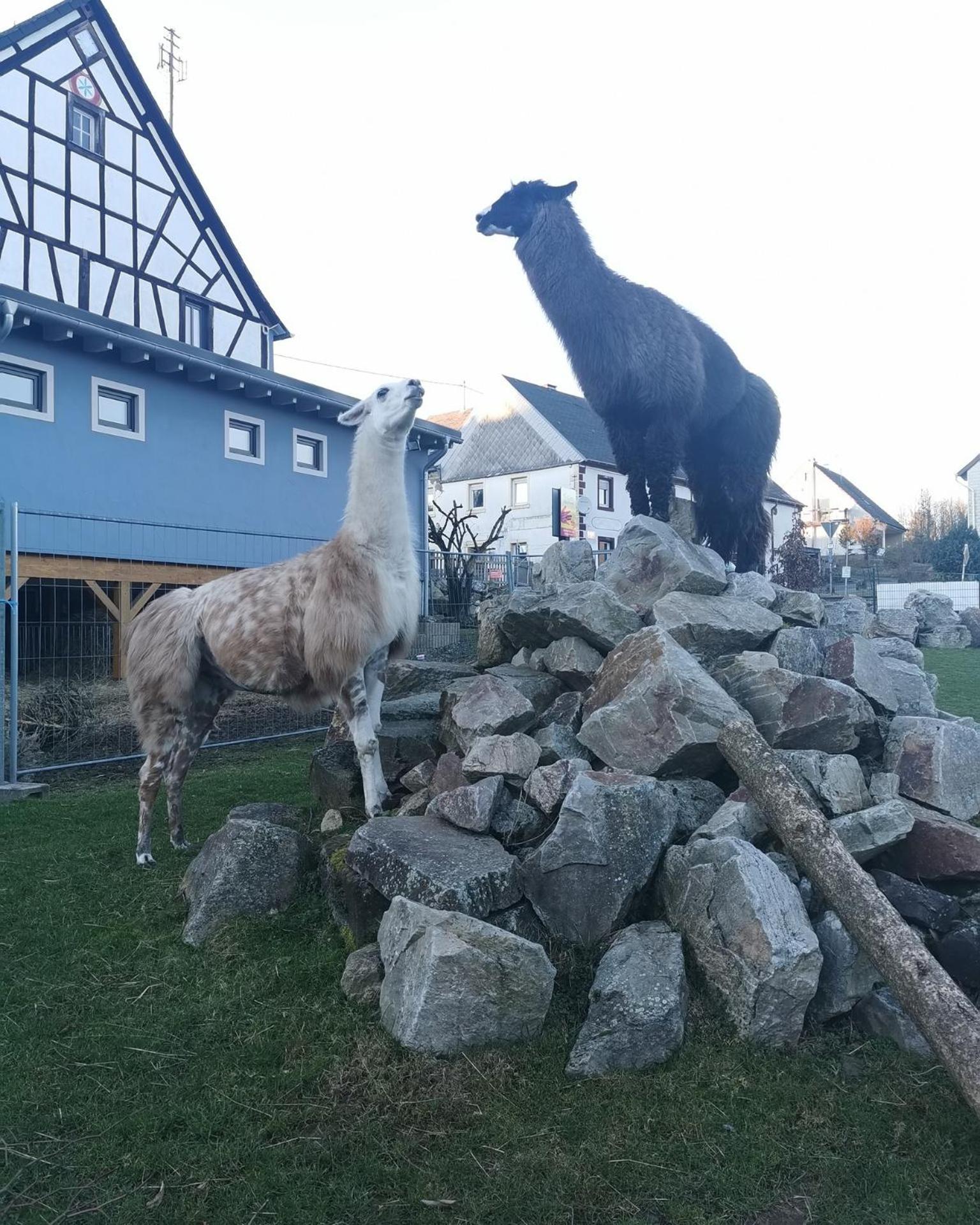 AllerHand Gästezimmer Nohen