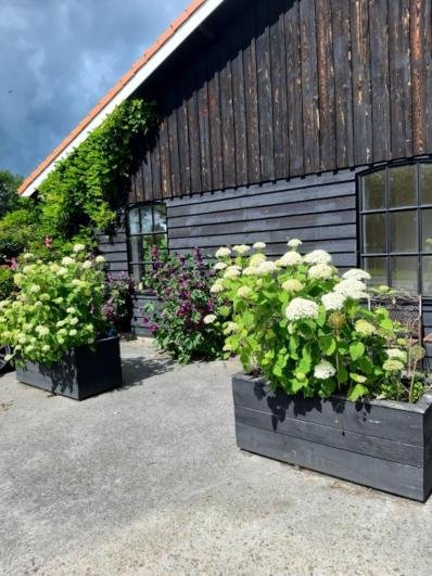 B&B Het goudklompje