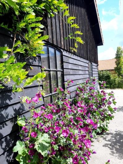 B&B Het goudklompje