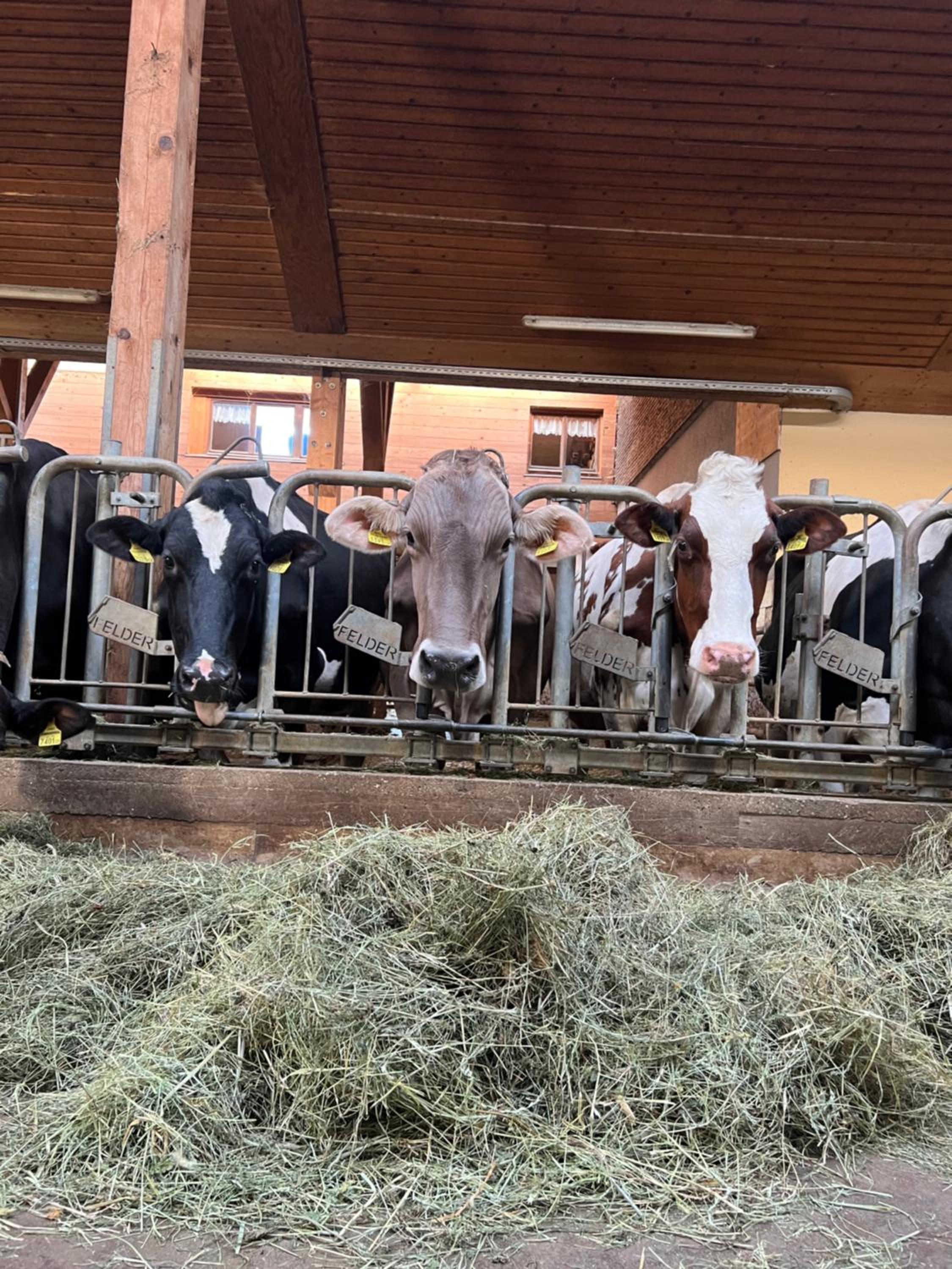 Nahturhof - Urlaub am Bauernhof natürlich erleben
