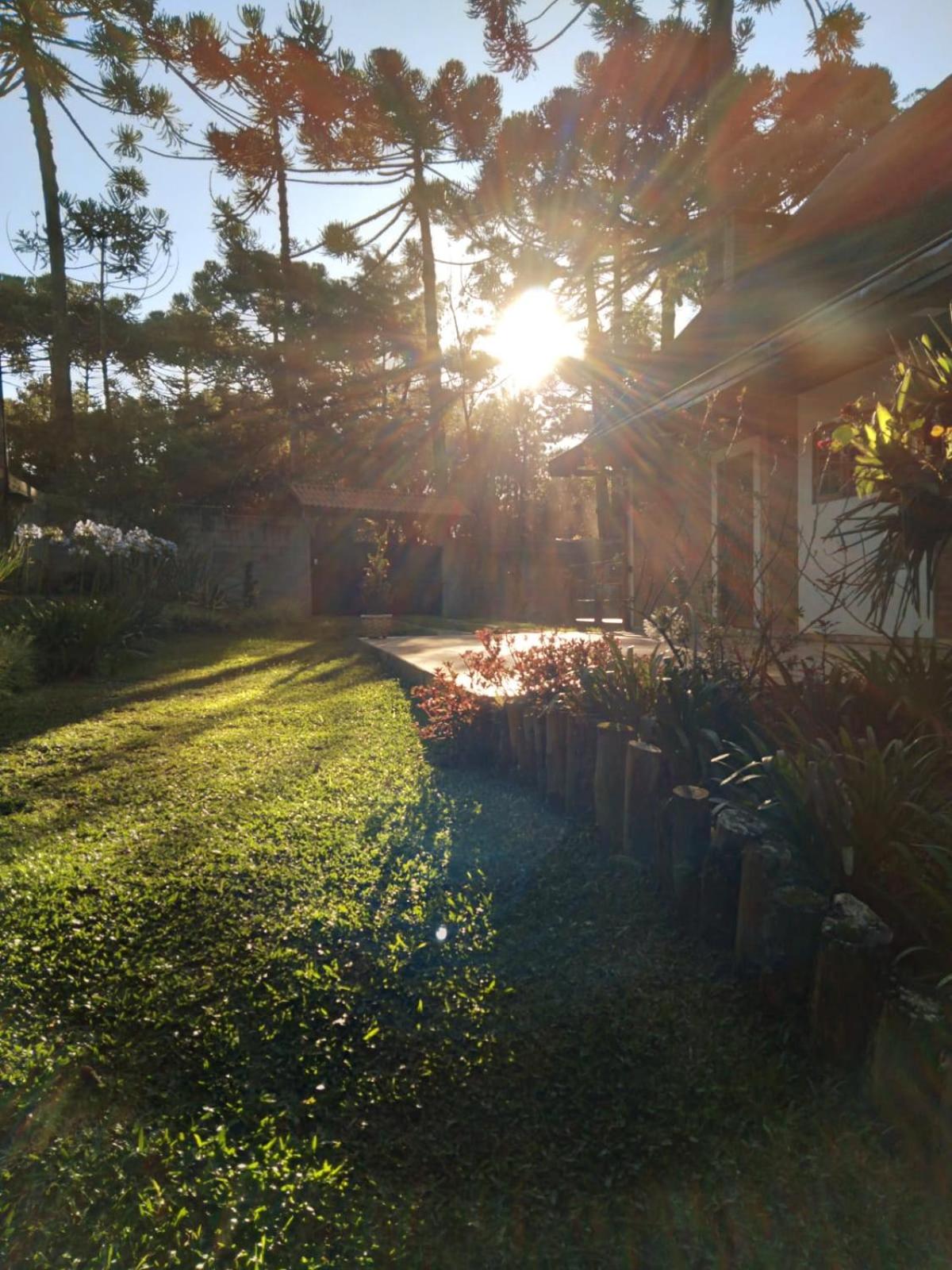 Bosque das Araucárias