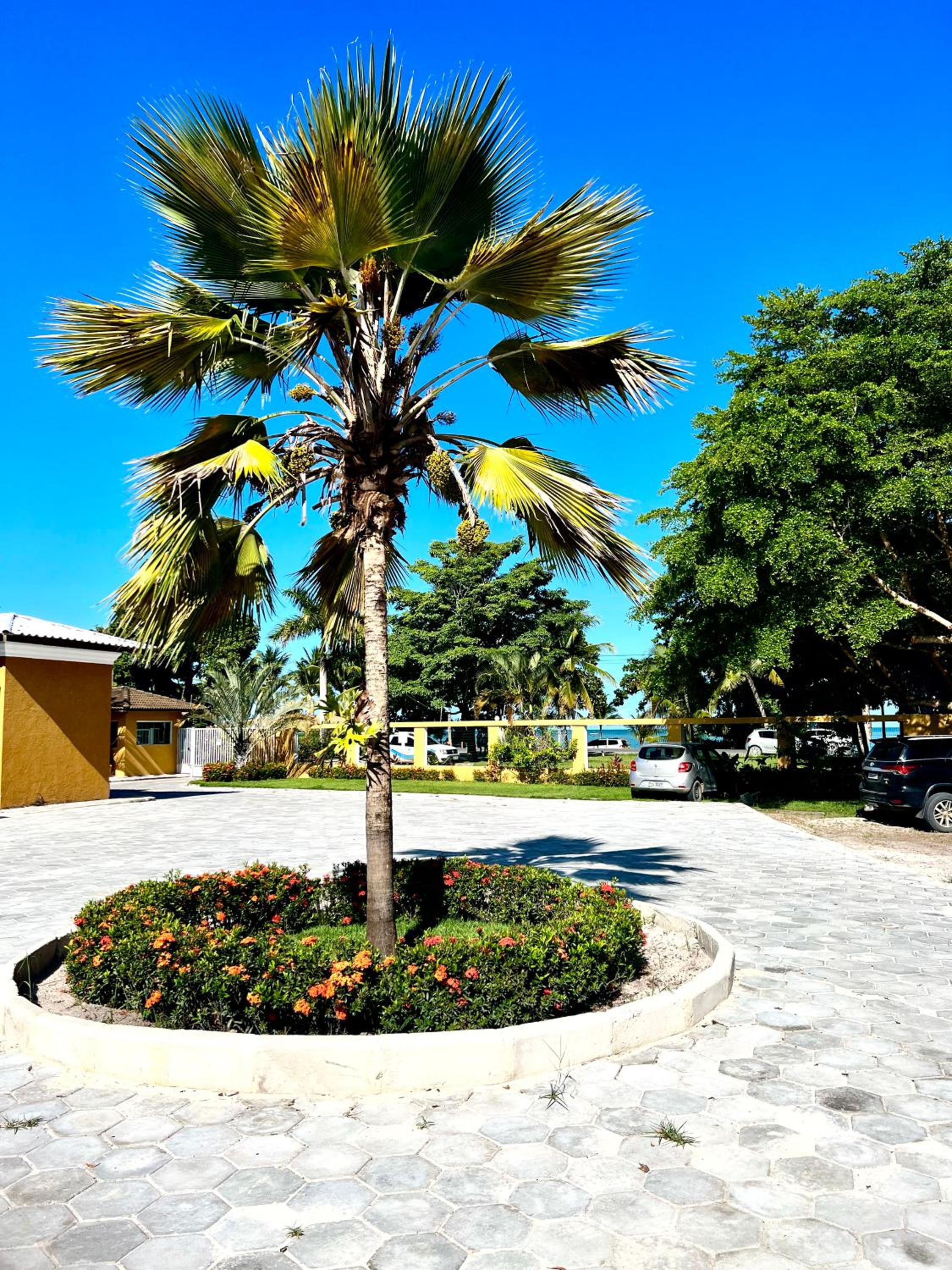 Casa Mutá
