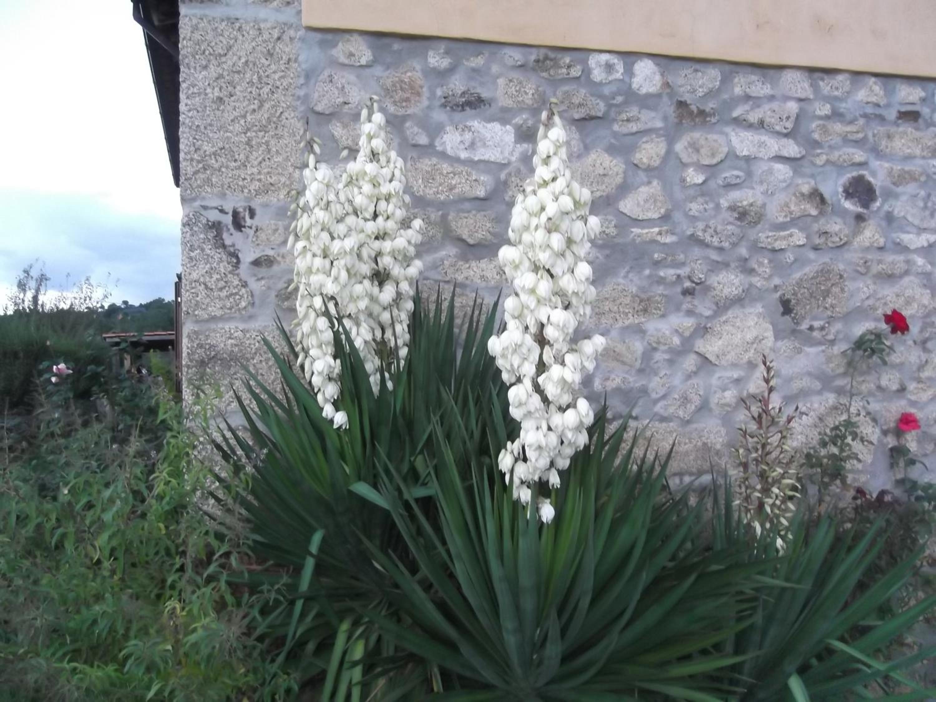 Photo 33