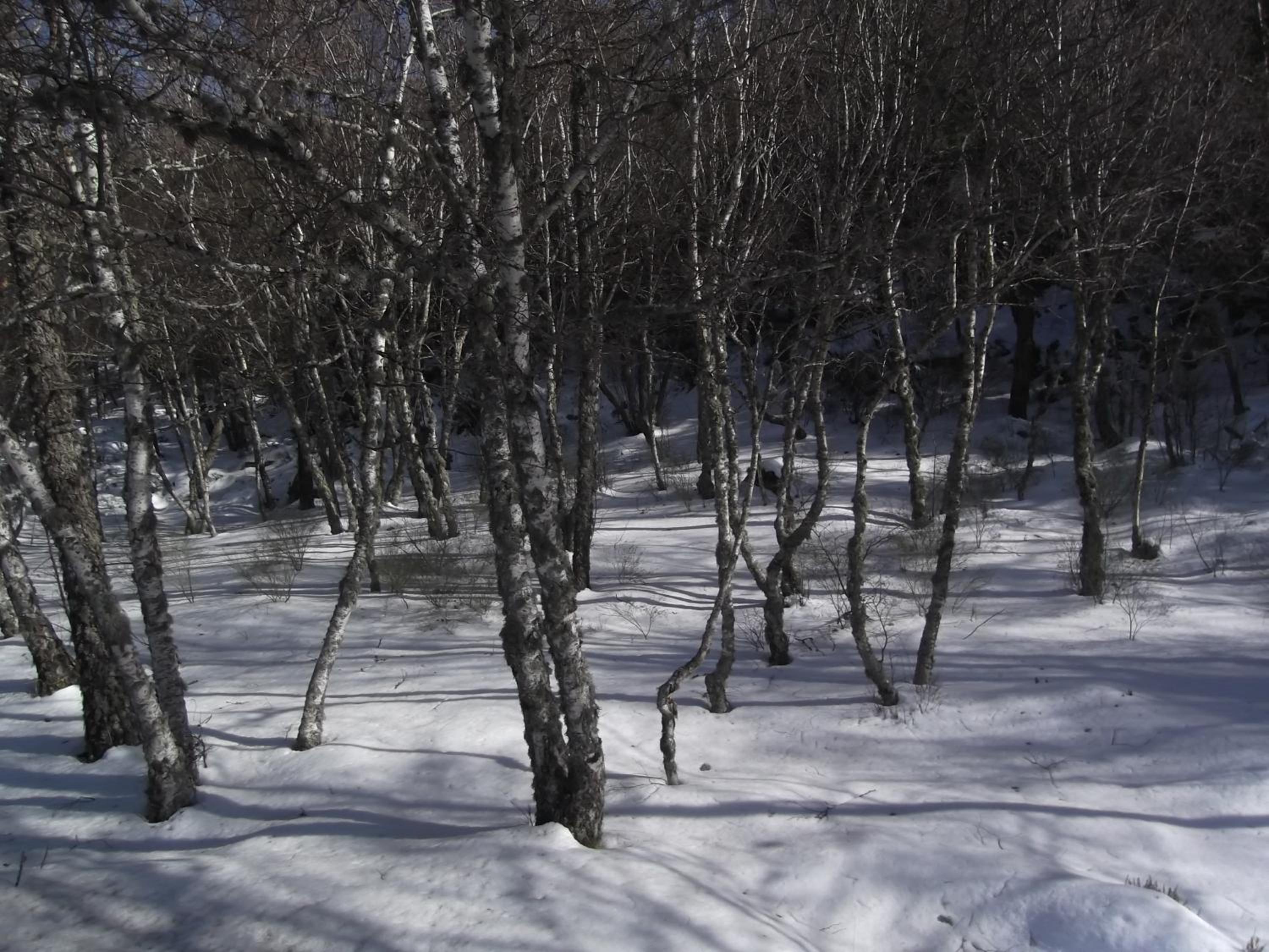 Photo 49