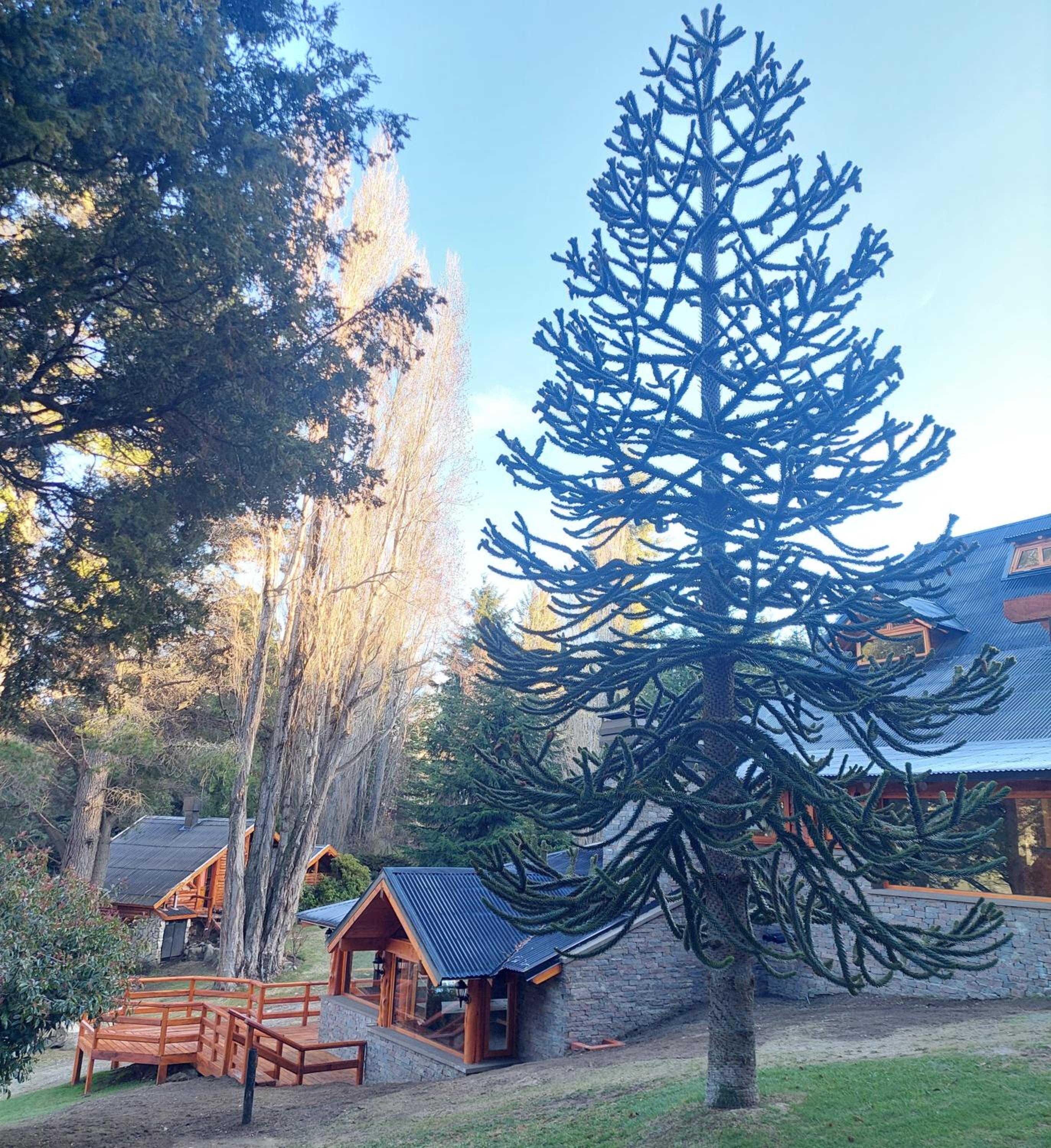 Cabañas Villa Labrador con costa de lago