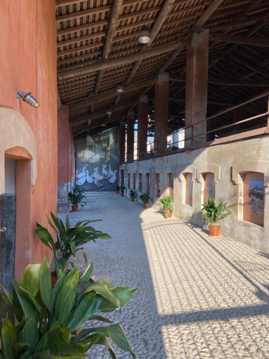 Agriturismo Padernello