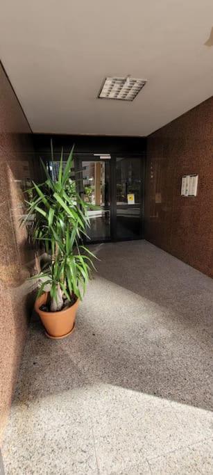 Luxury Apartment 23