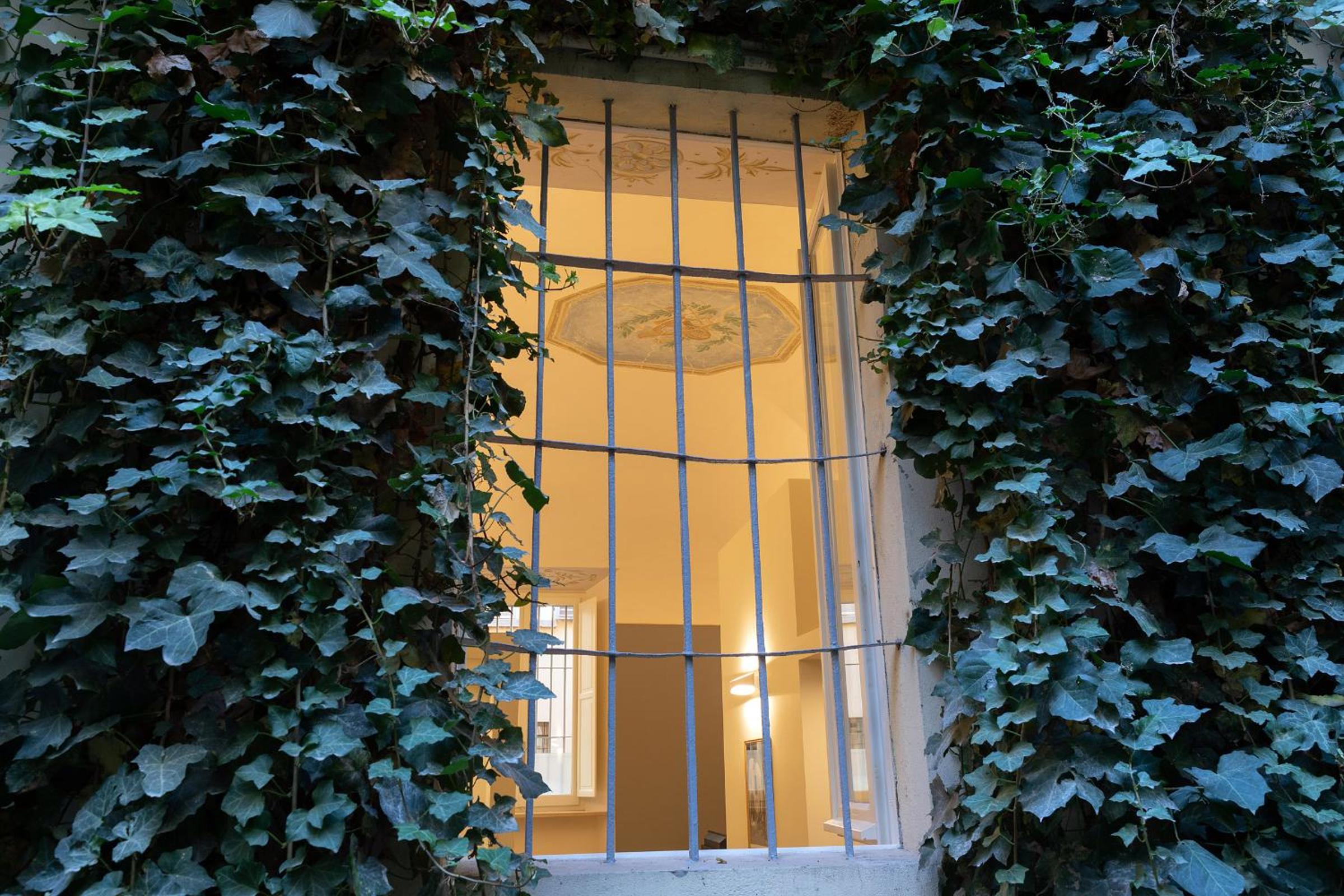 Palazzo Liberati Apartments - Manu Maison view 5
