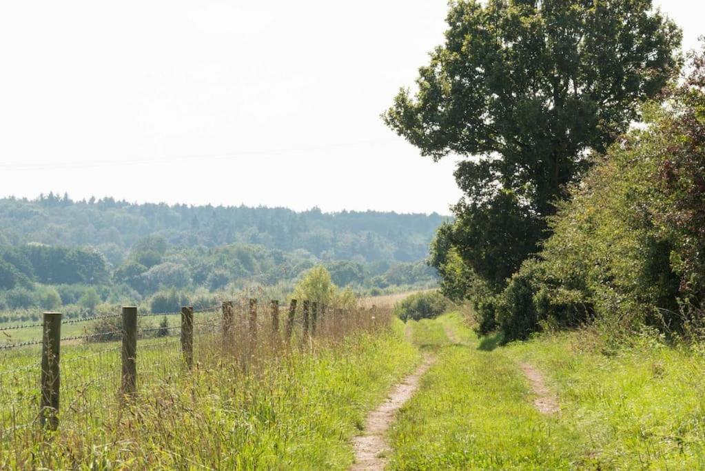 Mill Cottage set beside a Mill pond in a 70 acre Nature Reserve Bliss view 5
