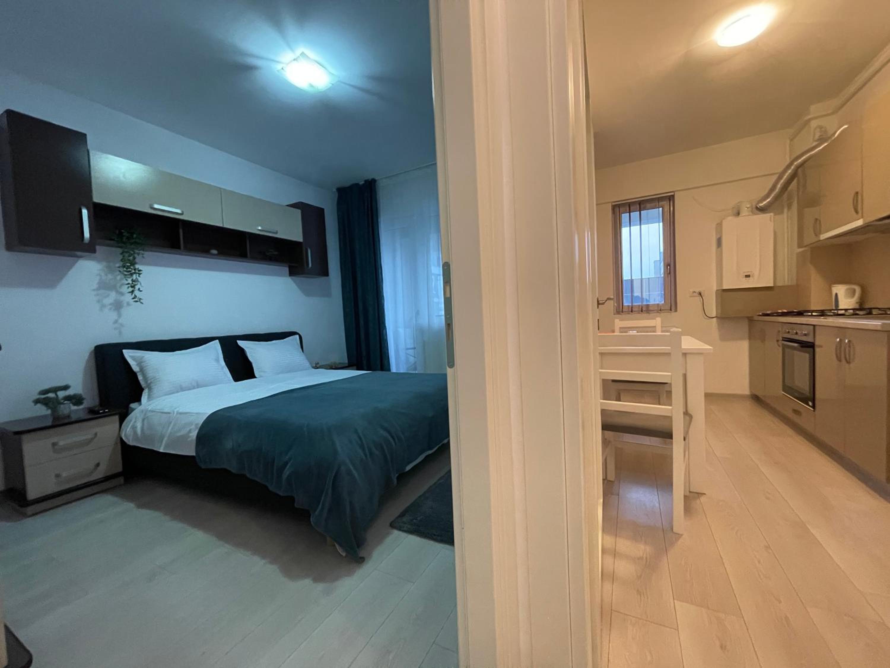 Apartament Centru Palas Mall view 5