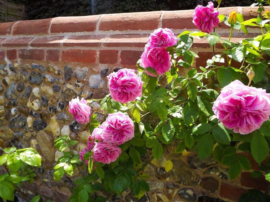 Romney, a cosy Victorian cottage in a picturesque Suffolk village view 5