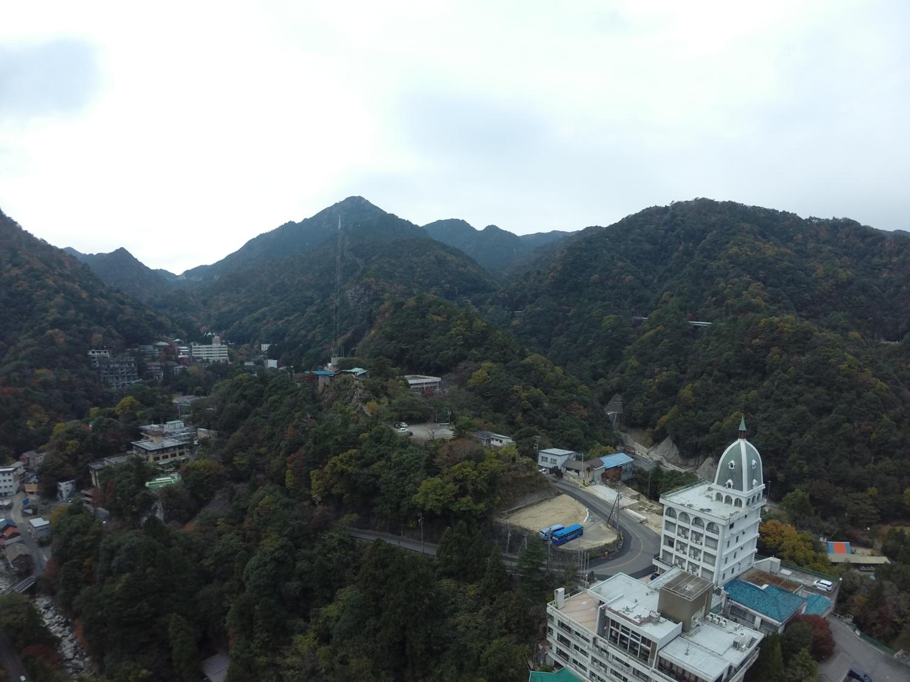 Irodori Koyo