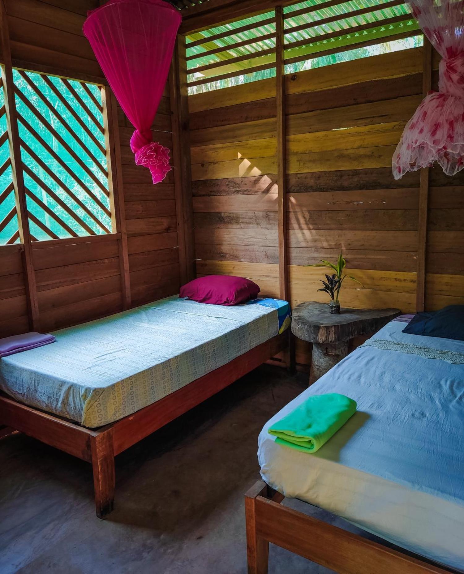 ROSA'S HOUSE, photo 43