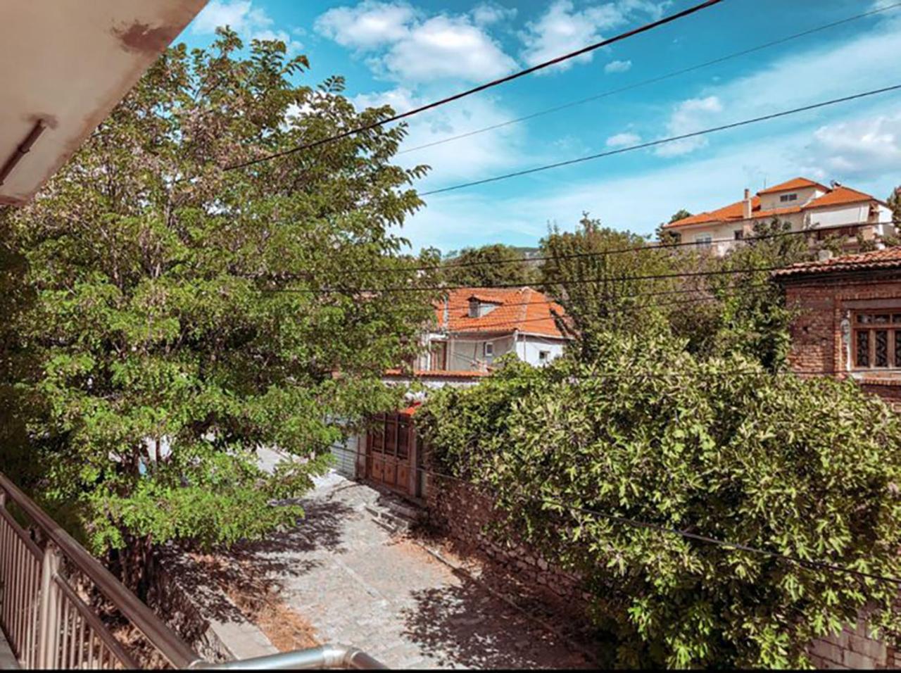 Vila 38