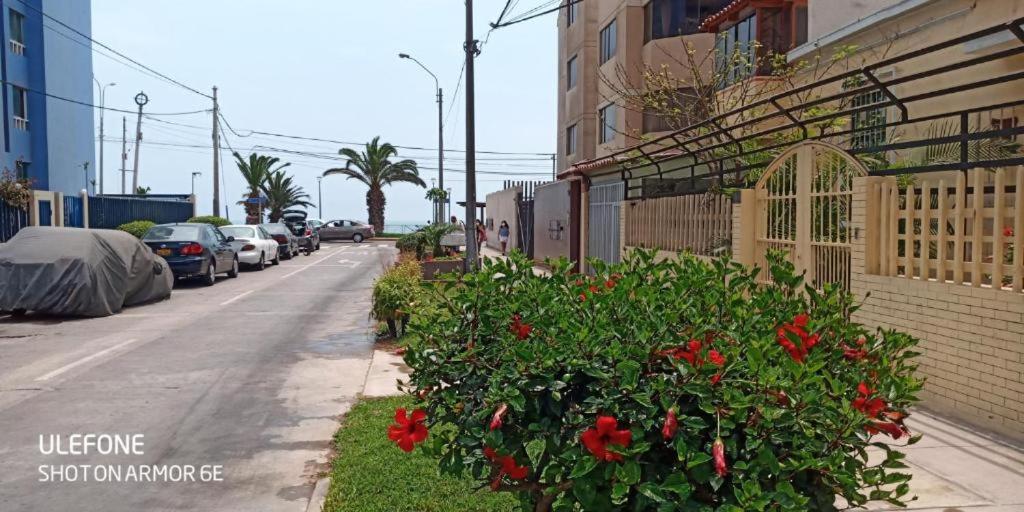 Bellavista