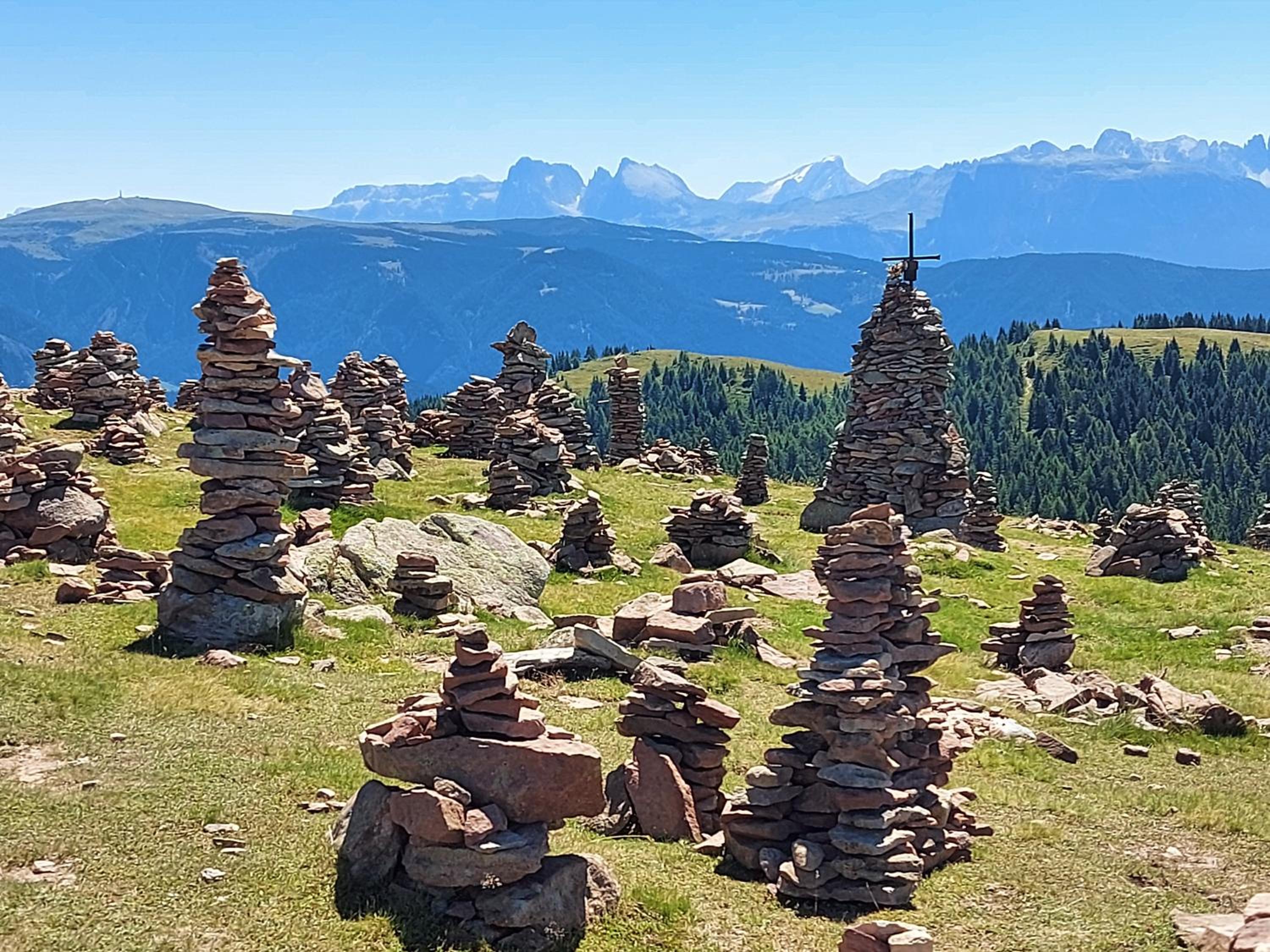Alpenrose
