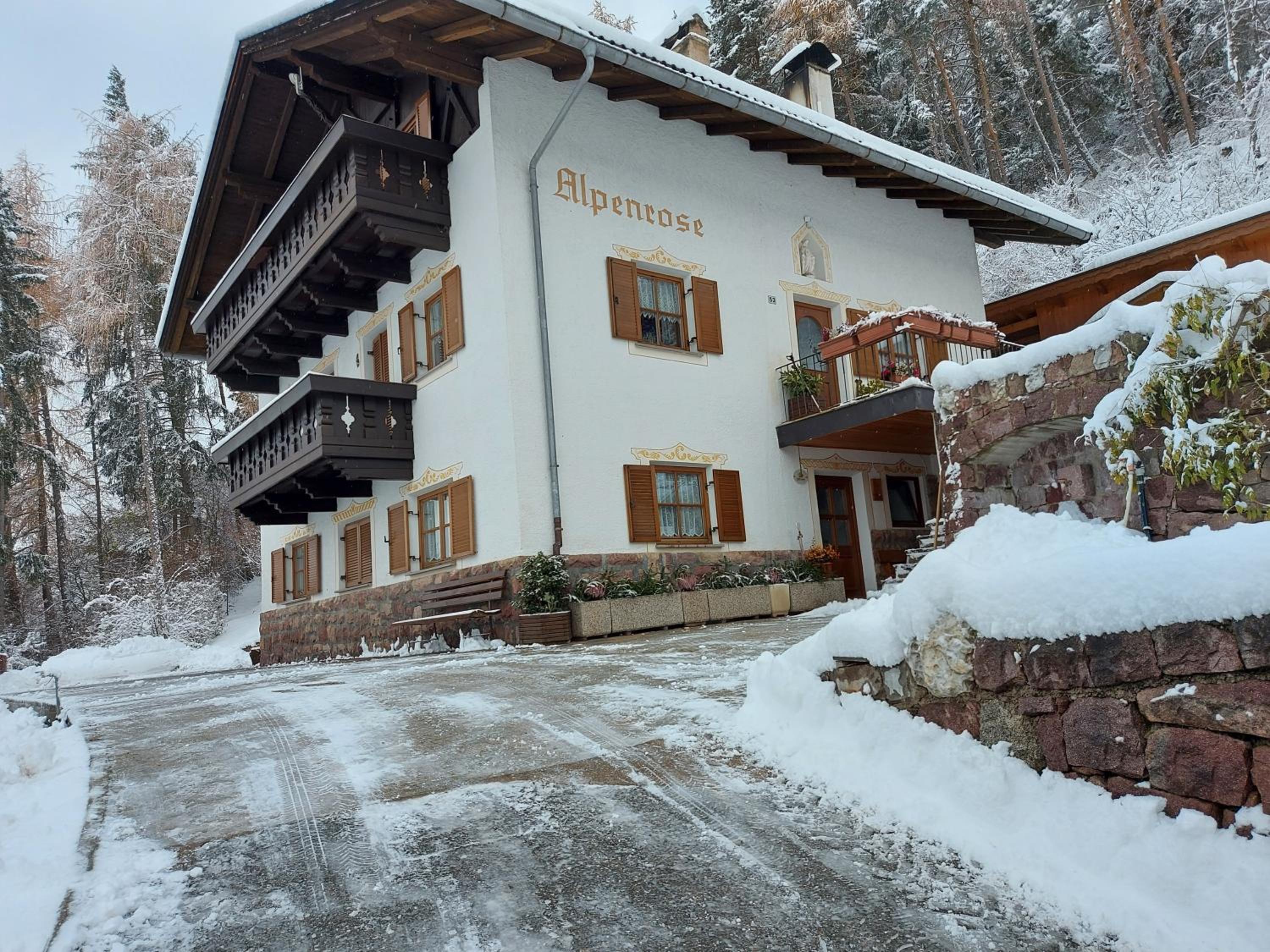 Alpenrose