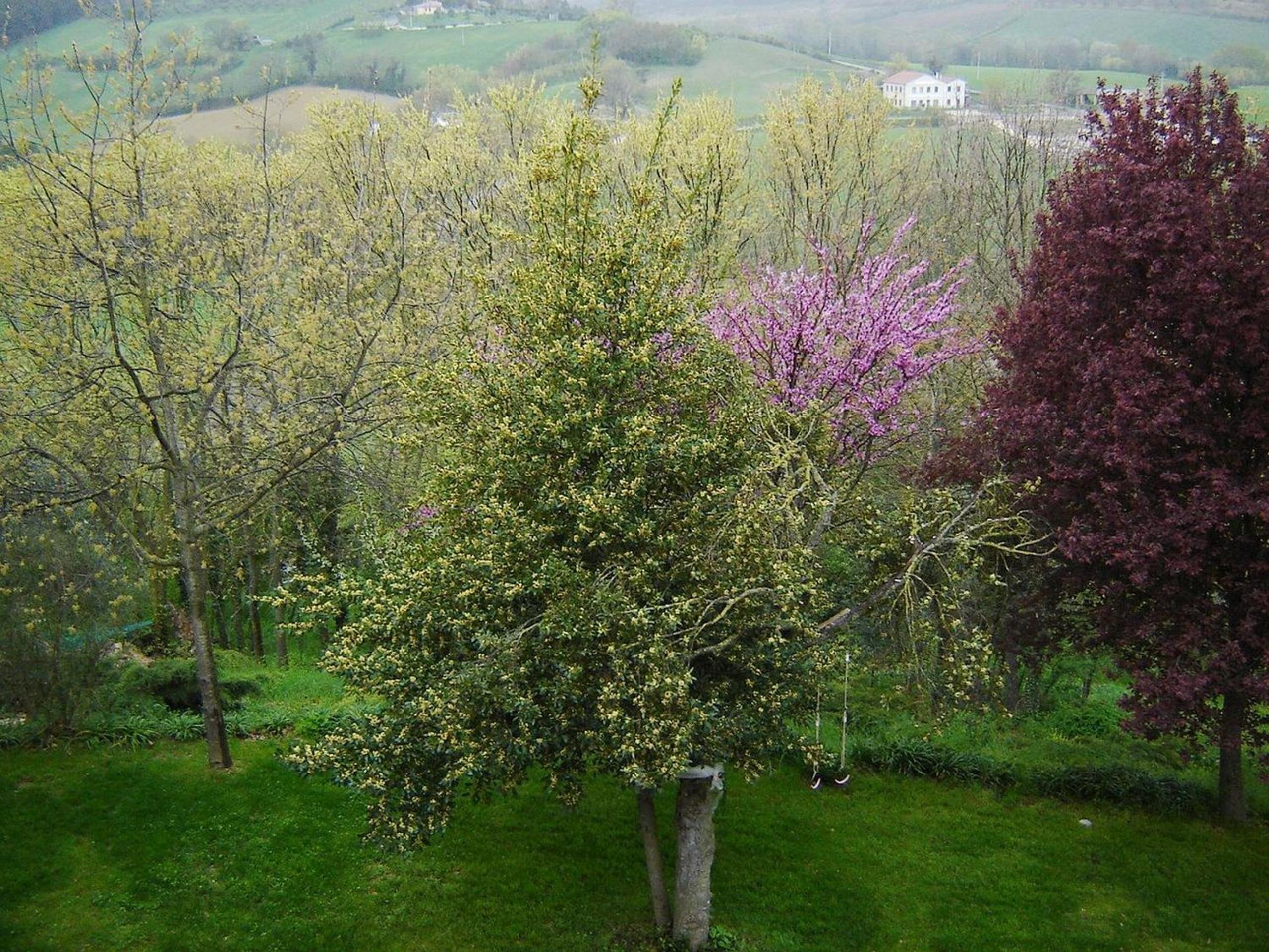 Casale del Monsignore