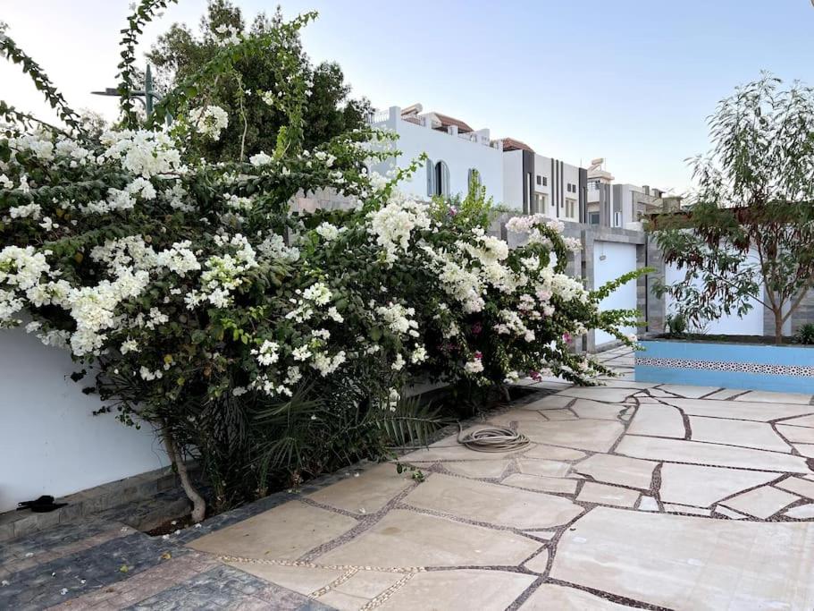Luxorious villa with a pool near the laguna view 2