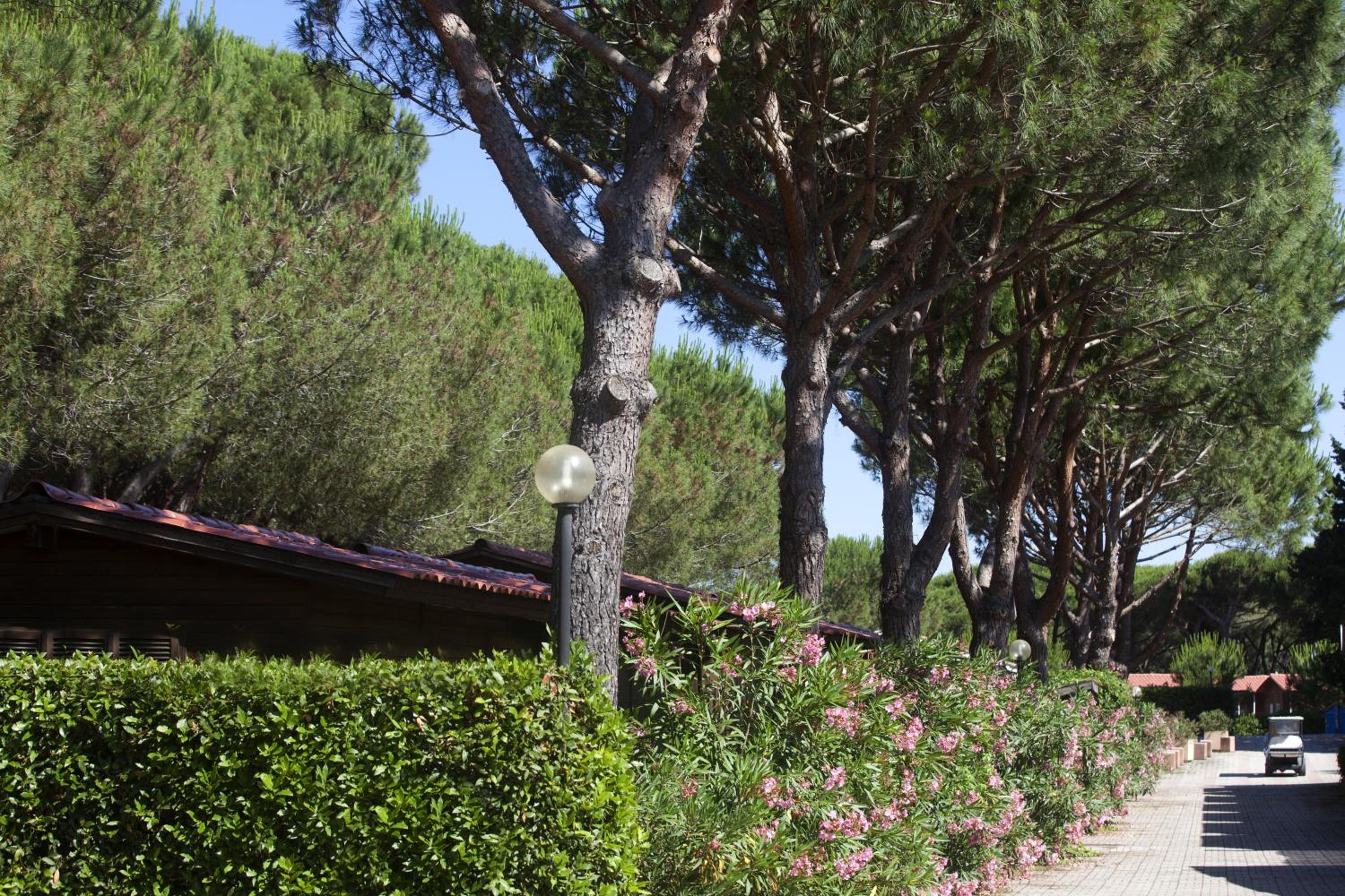 Photo 40