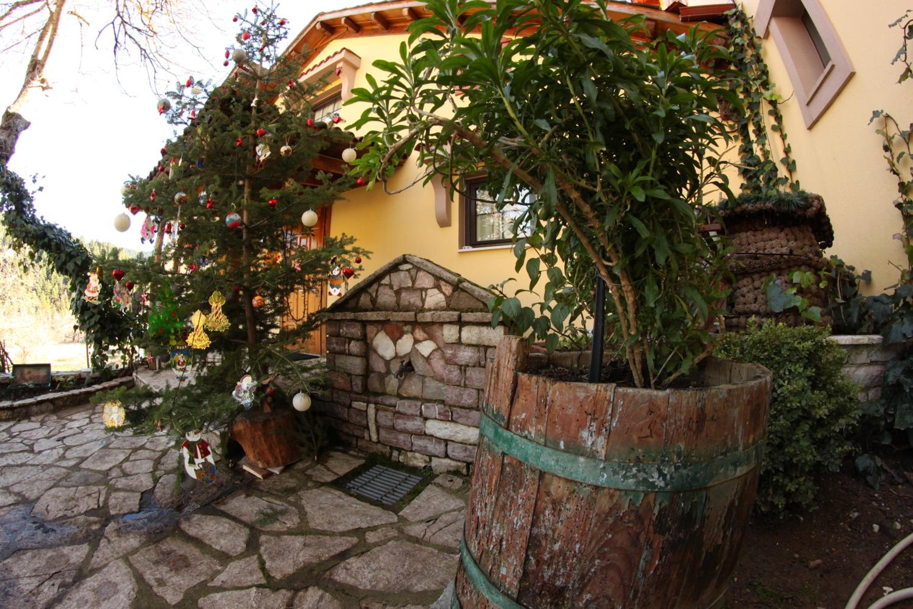 Photo 6