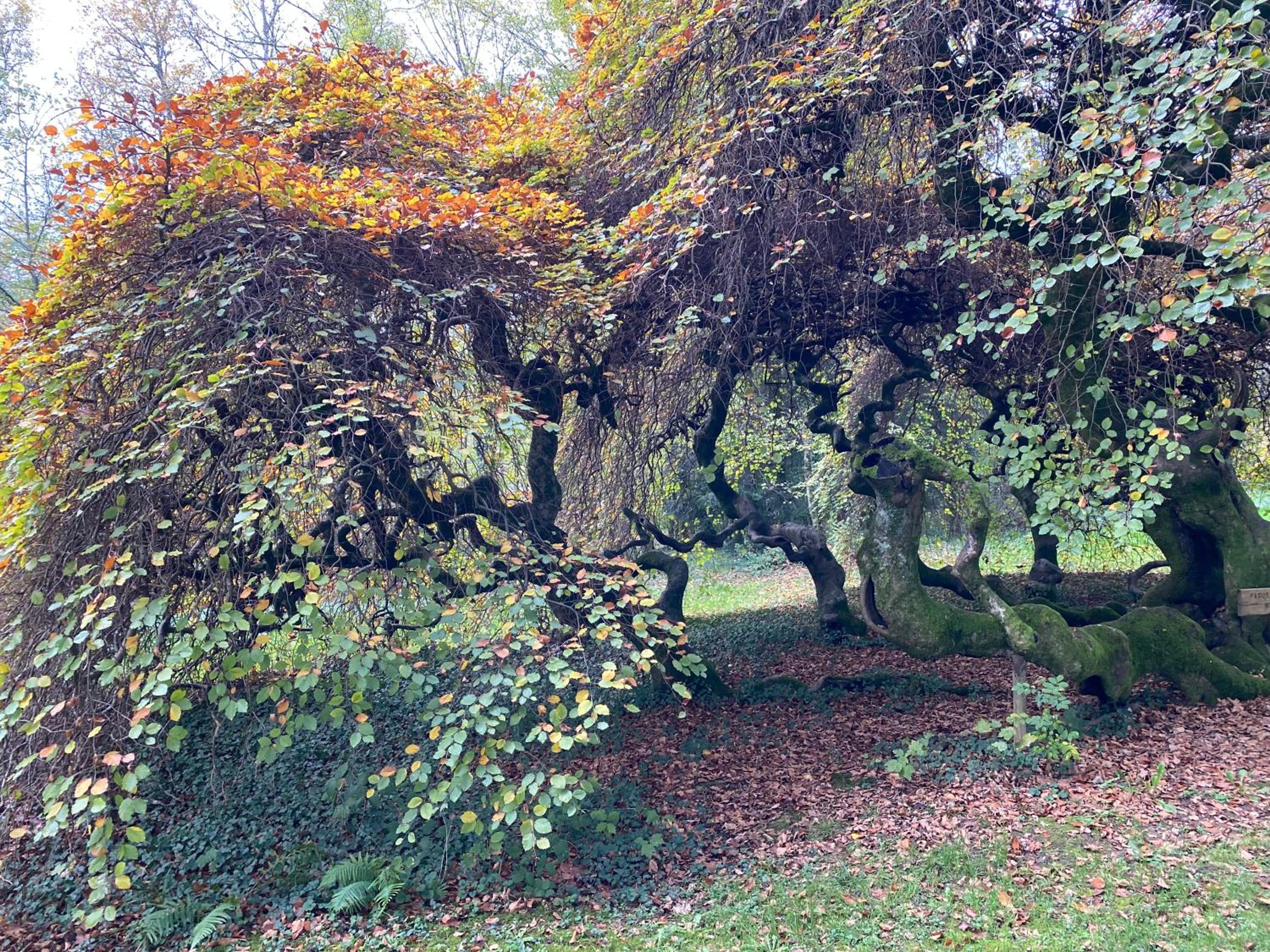 Photo 102