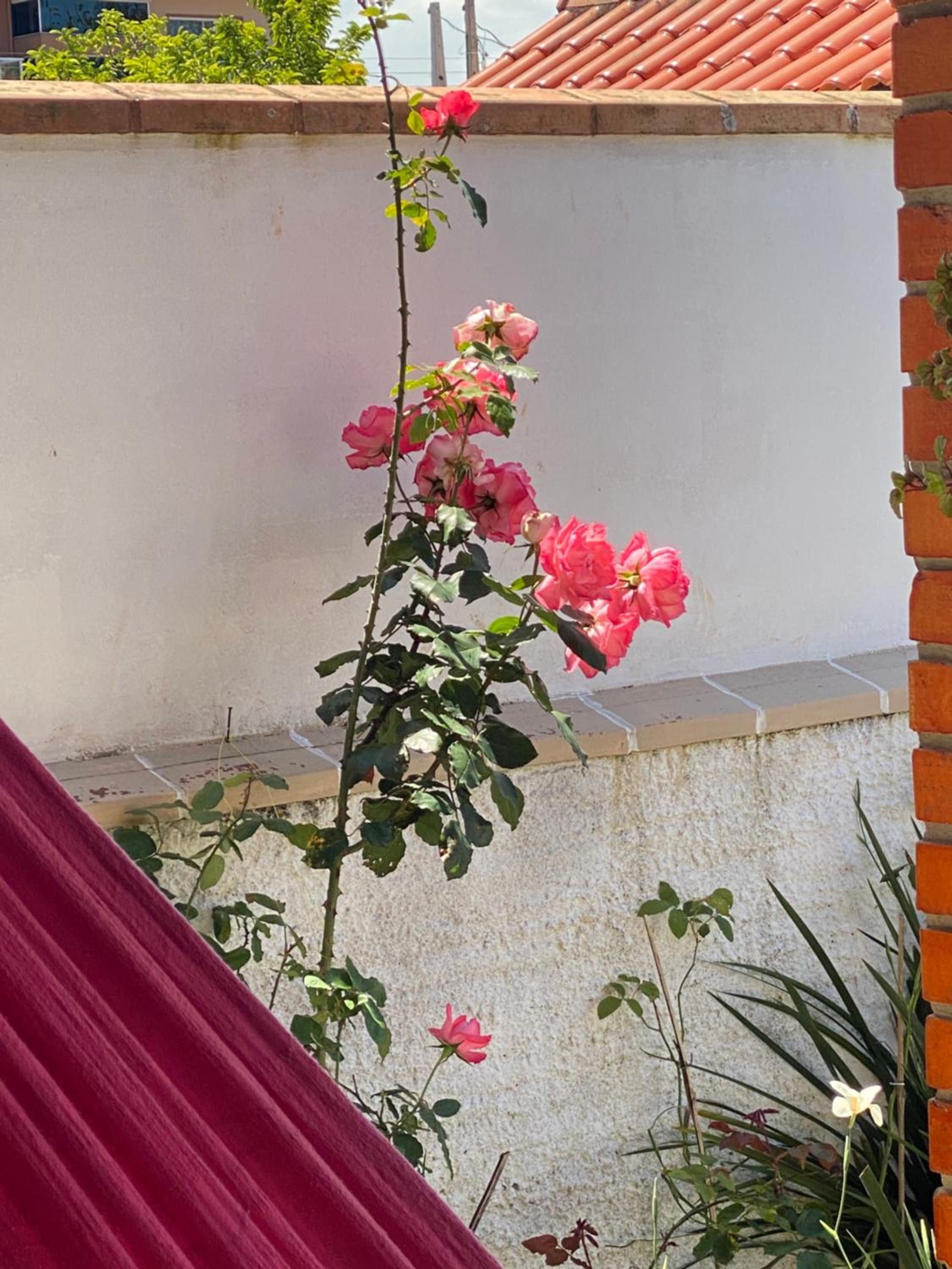 Casa a uns passos do Beto Carrero para 12 pessoas