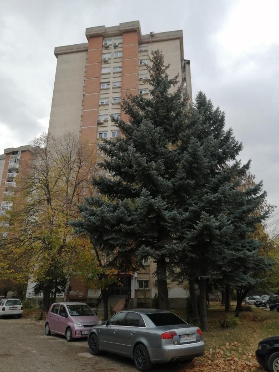 Photo 13