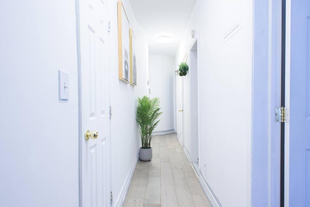 428-2W Newly Furnished Prime Location 2BR Sleeps 5
