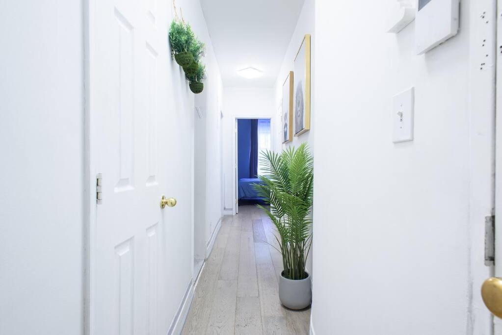 428-2W Newly Furnished Prime Location 2BR Sleeps 5