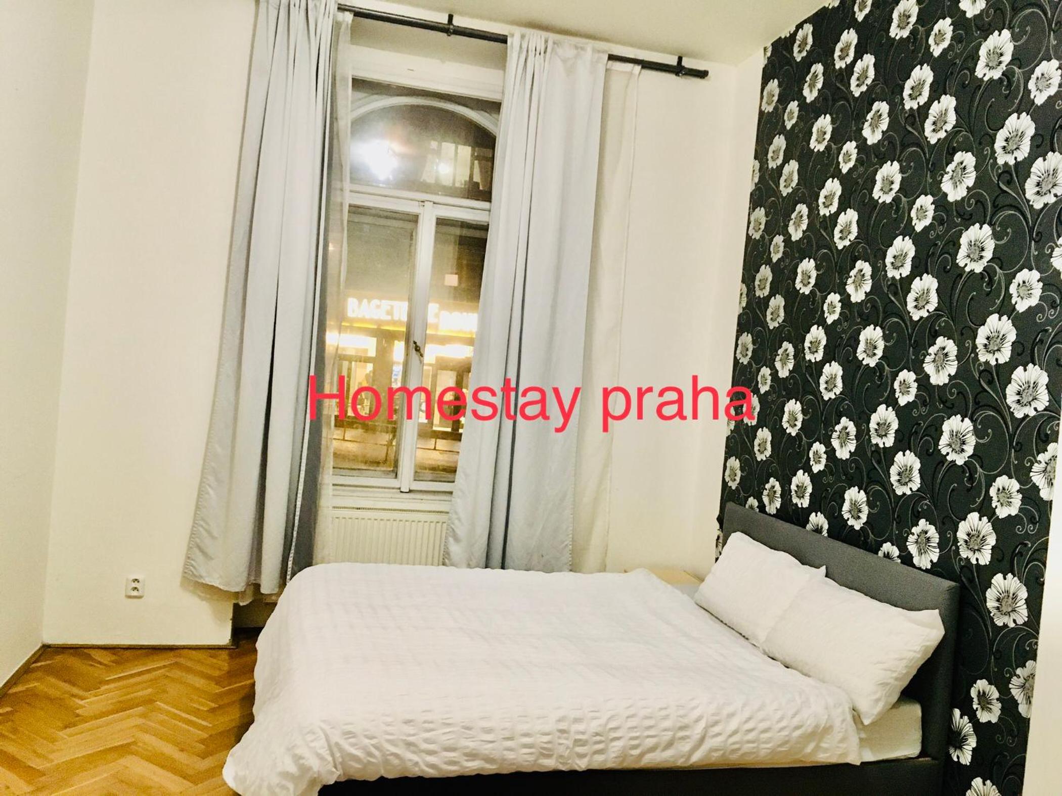 Hotel flat in Centre Prague 2