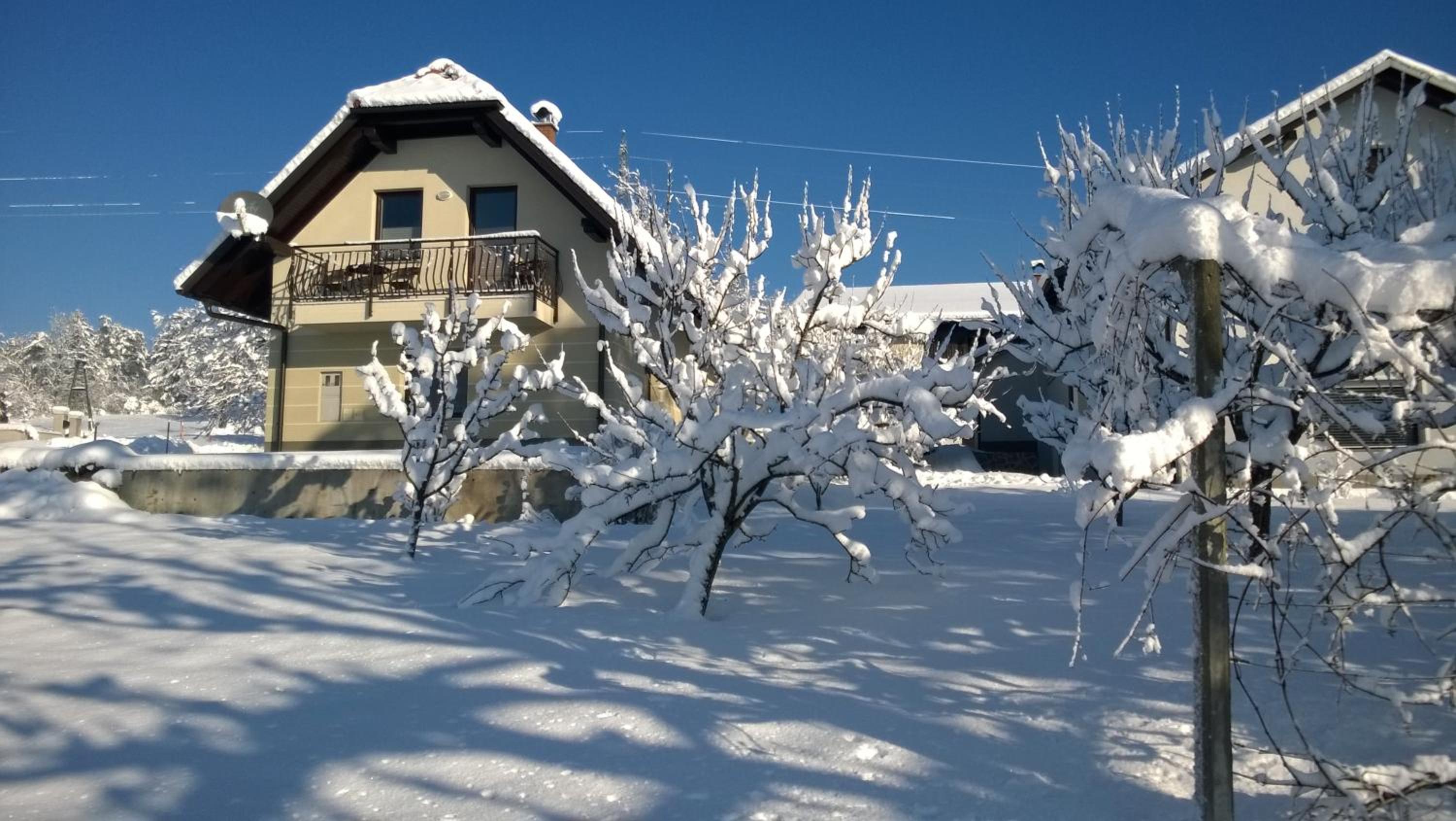Photo 15