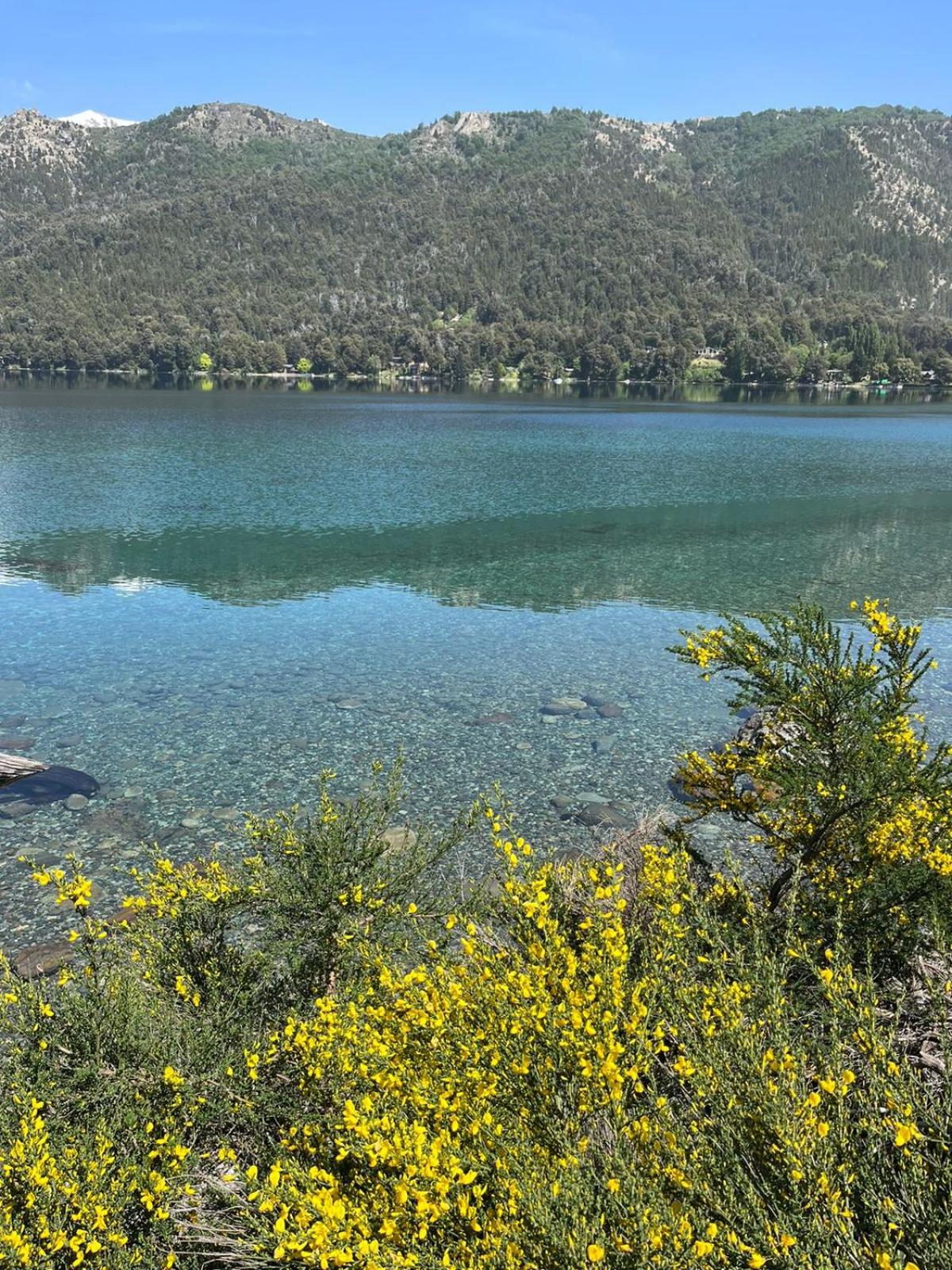 La Pampita en Villa Arelauquen