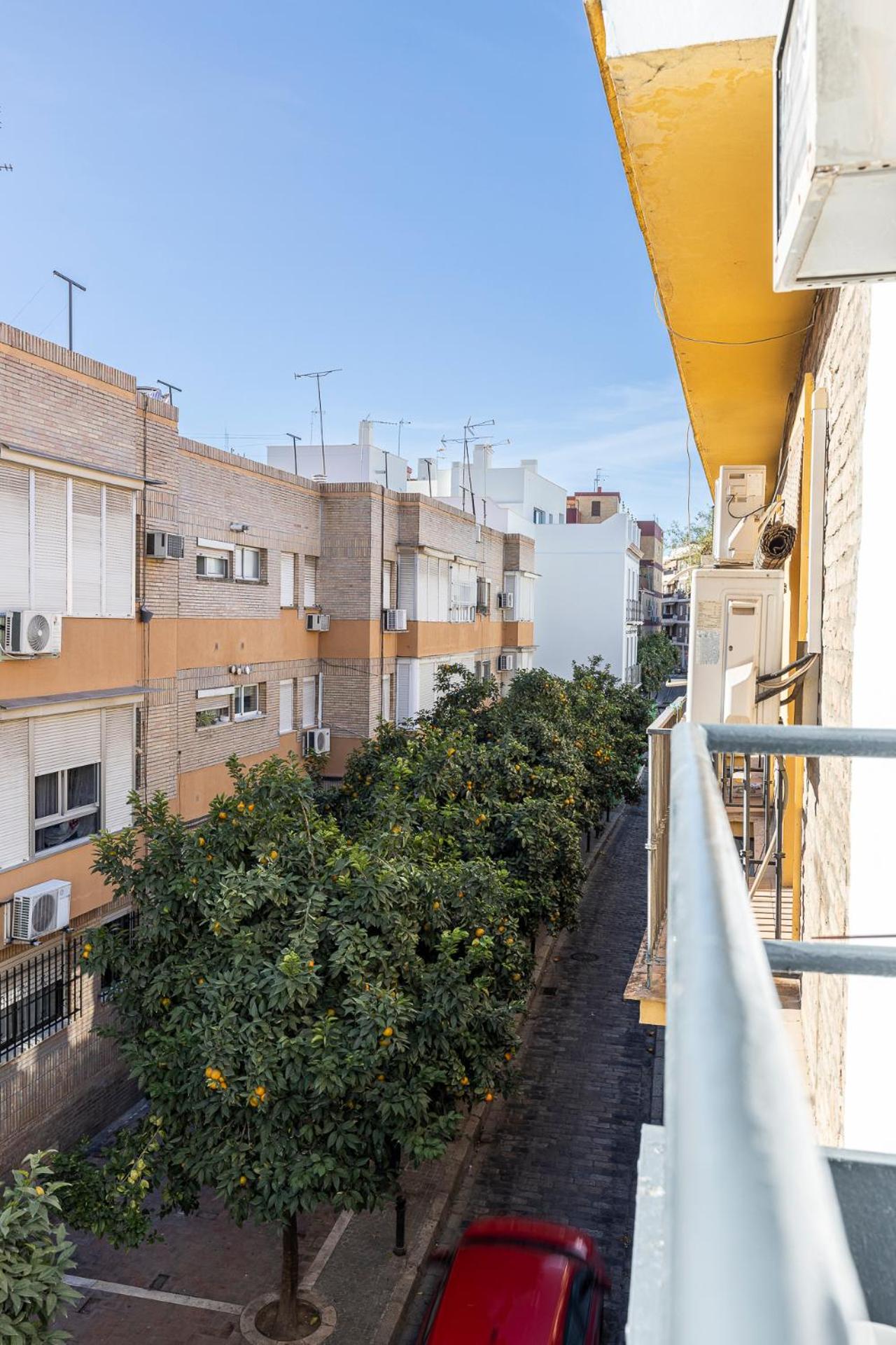 Pureza dreams de Sevilla Oasis en Triana