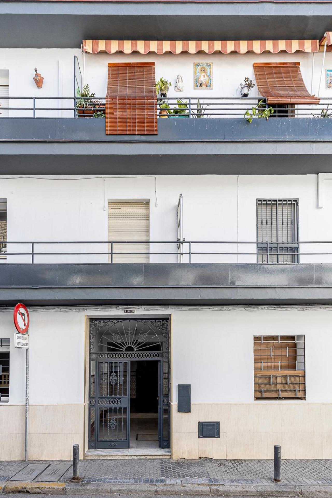 Pureza dreams de Sevilla Oasis en Triana