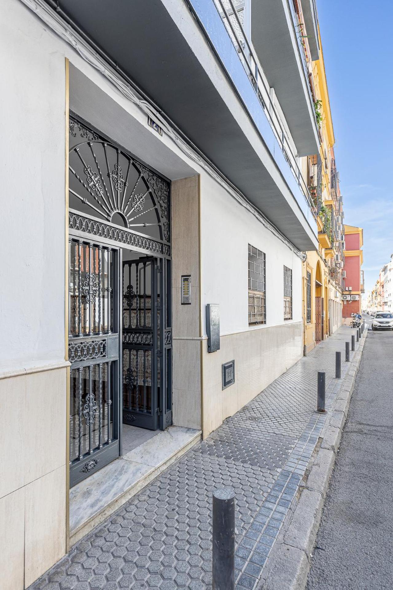 Pureza dreams de Sevilla Oasis en Triana