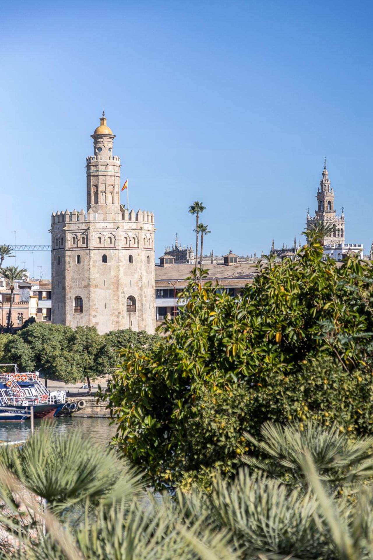 Pureza dreams de Sevilla Oasis en Triana