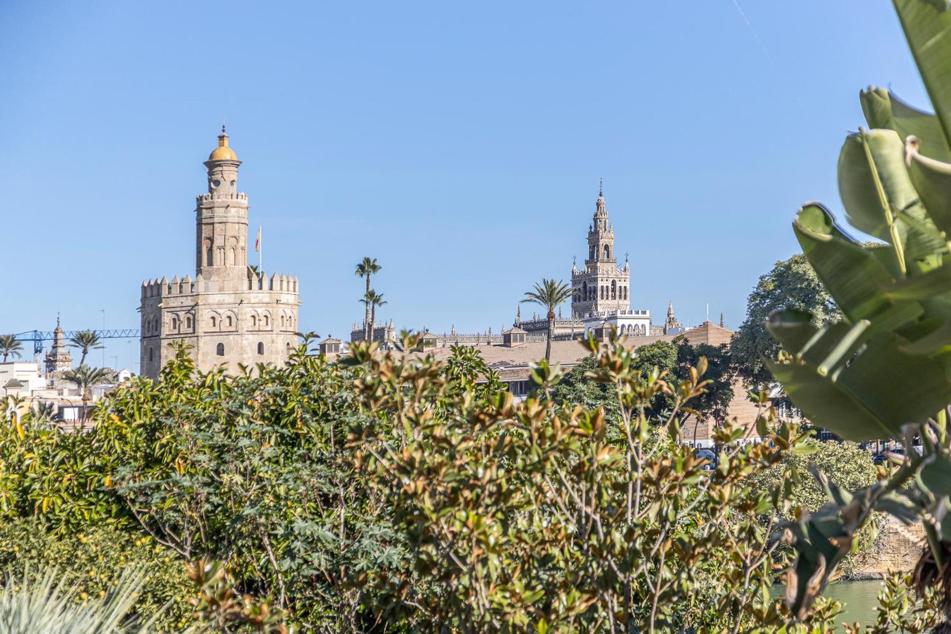Pureza dreams de Sevilla Oasis en Triana